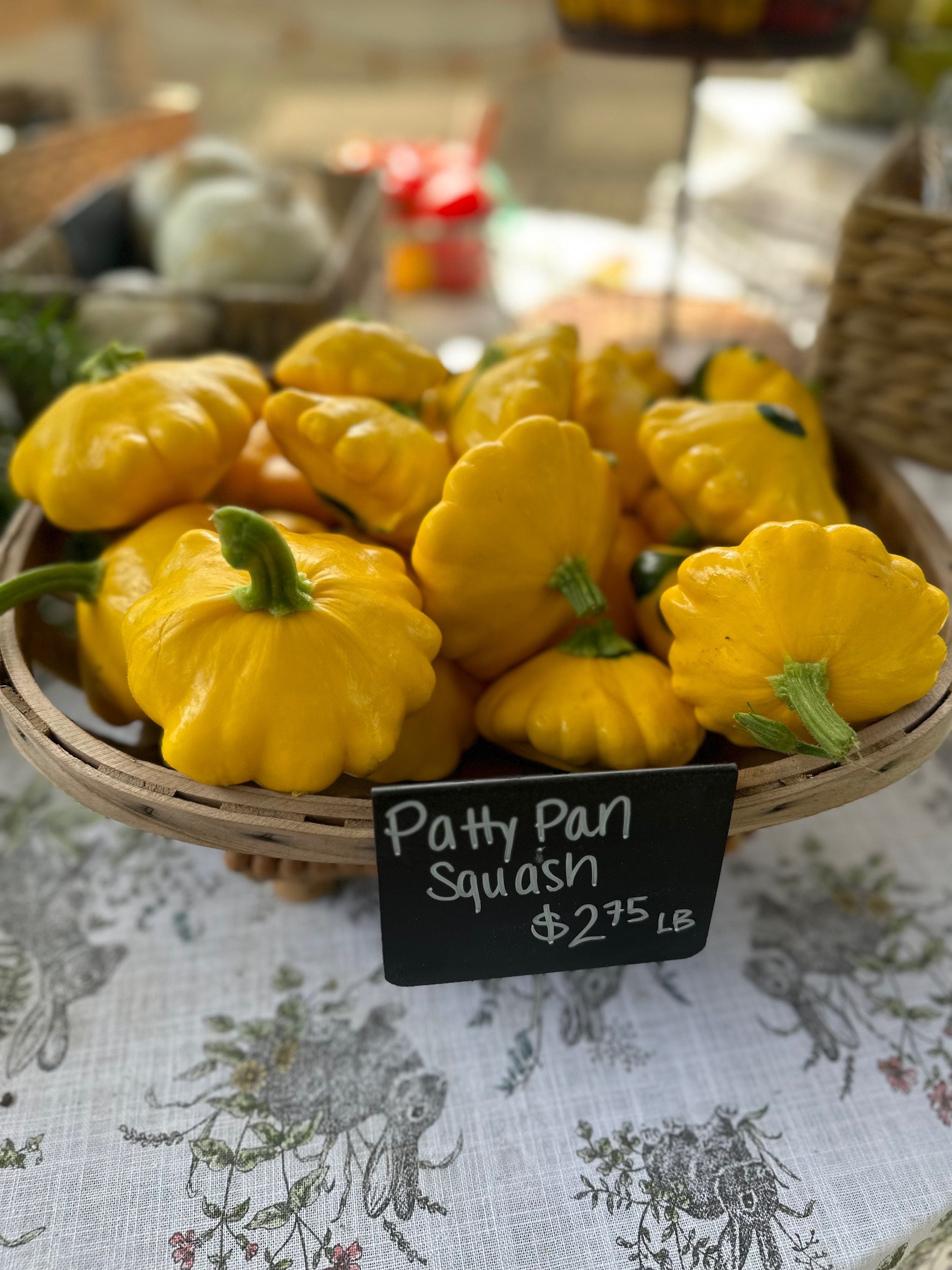 Farm 99 Patty pan squash  image 0