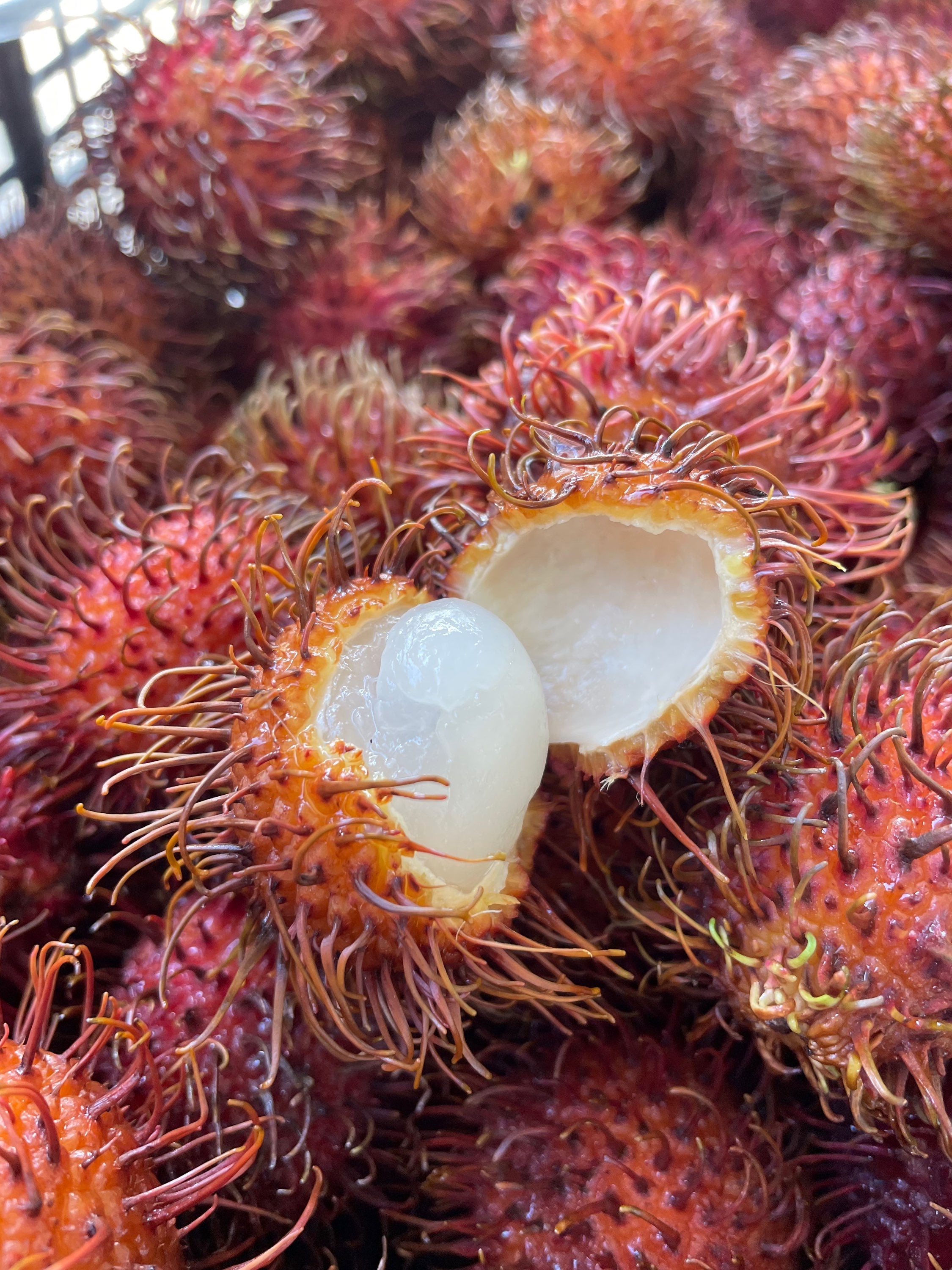 Rambutans - pint image 1