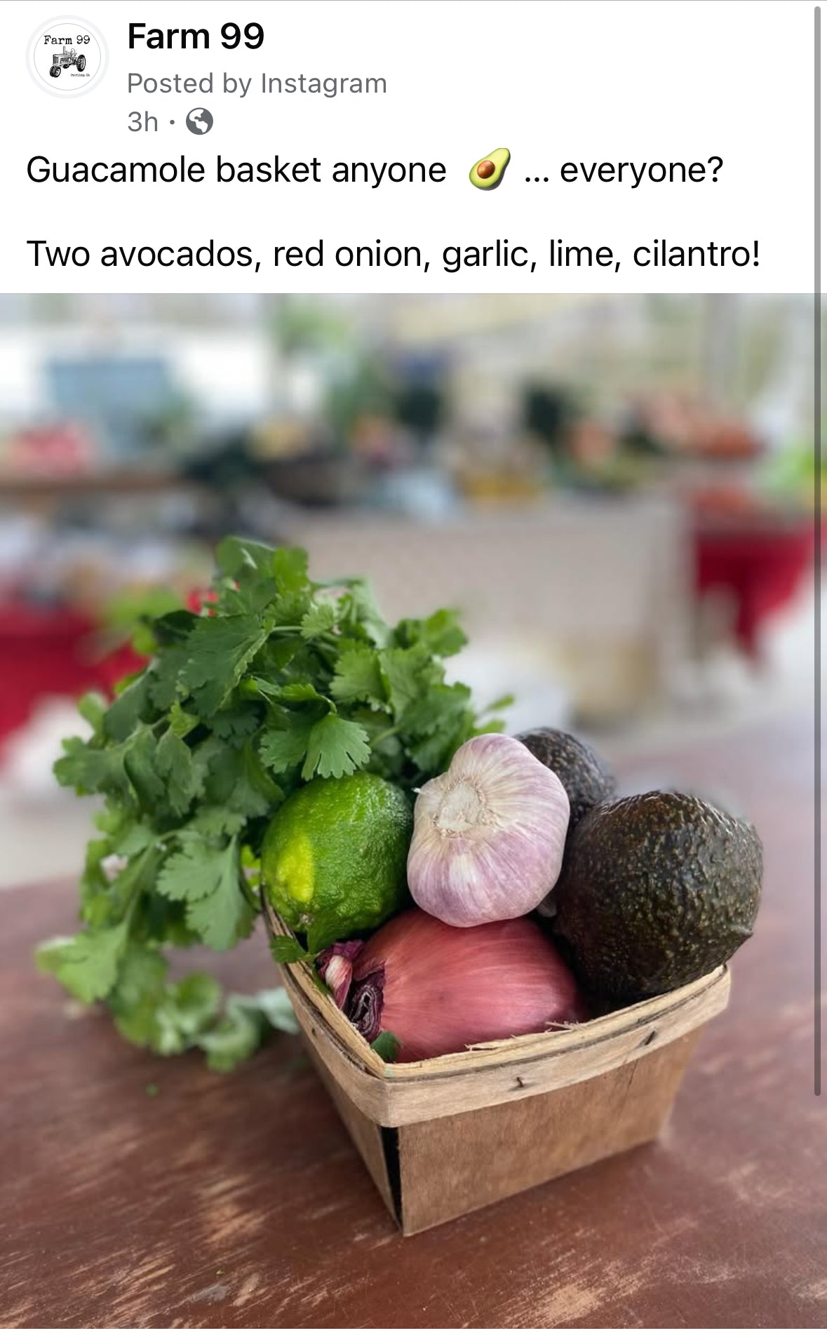 Guacamole Basket  image 0