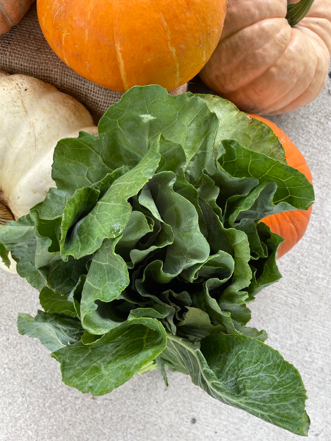 Collard Greens - No delivery  image 1