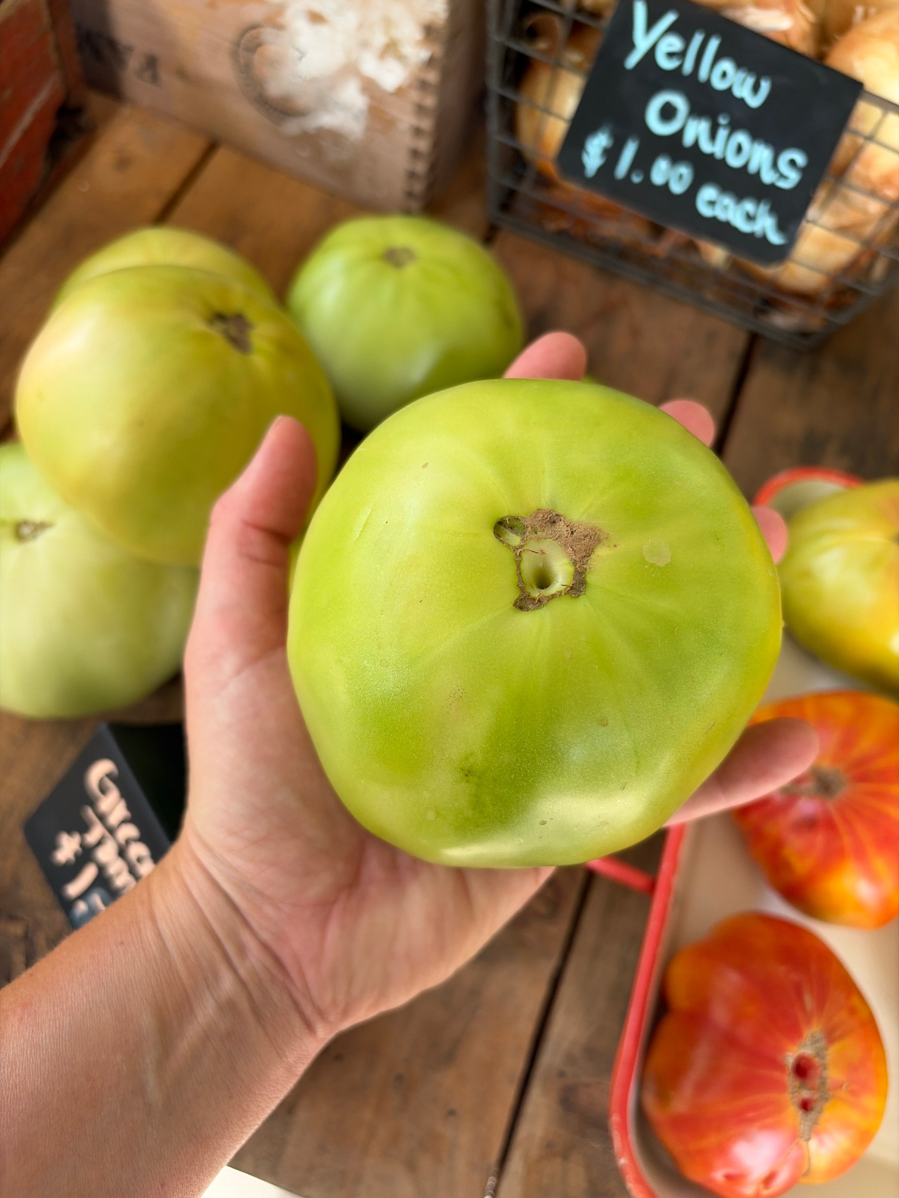 Green Tomatoes XL
