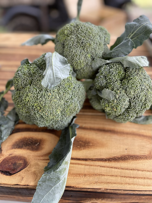 Local Broccoli - 1 pound – Farm 99