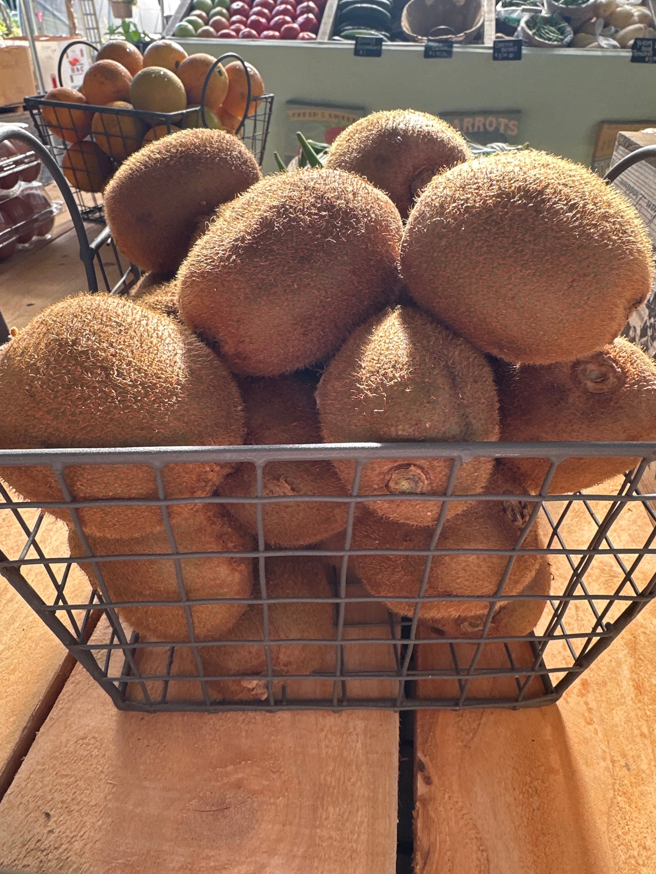Kiwi image 1