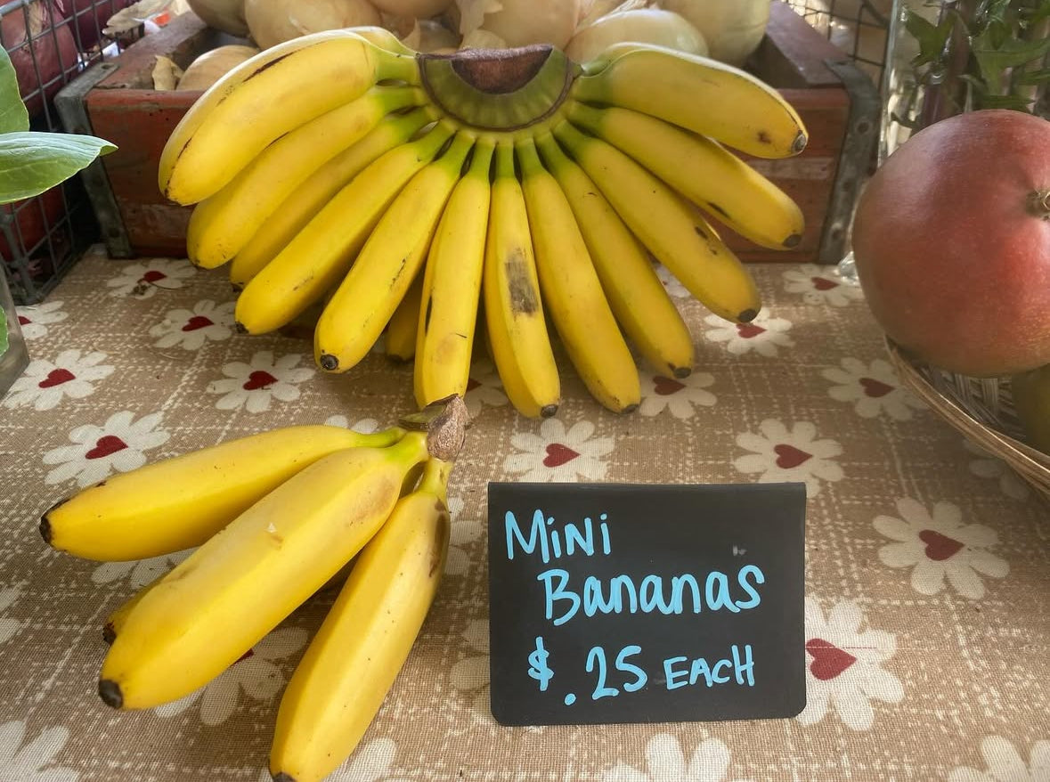 Baby bananas - each image 0