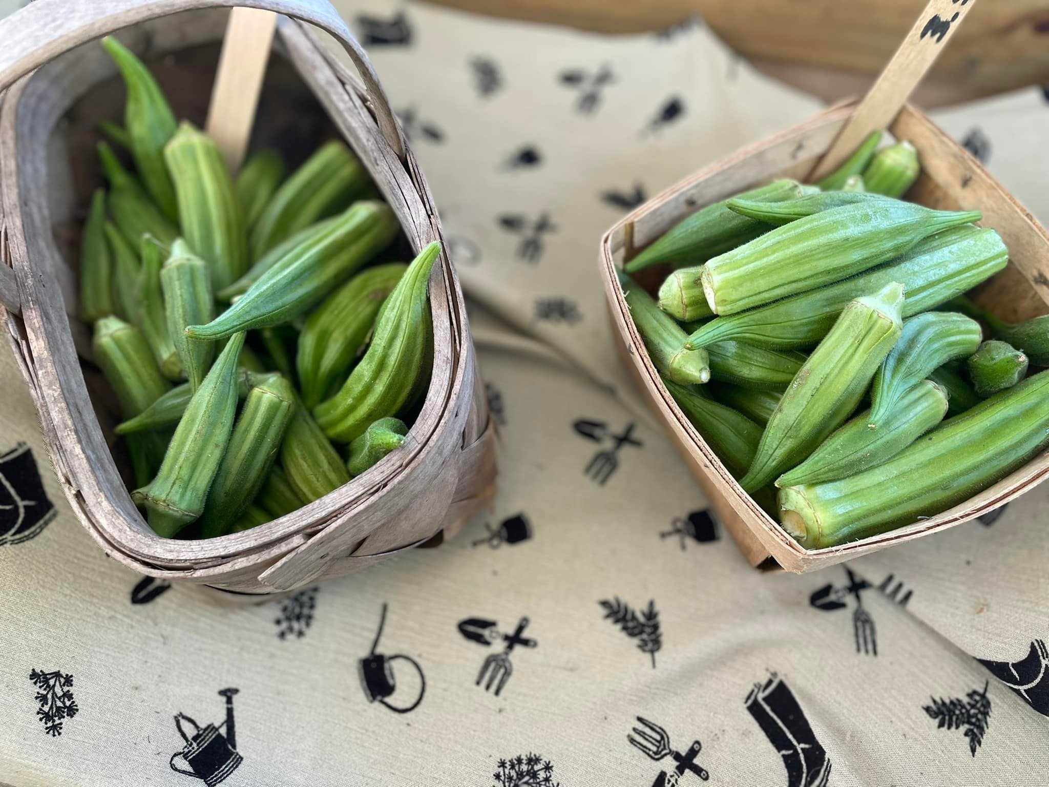 Okra  image 0