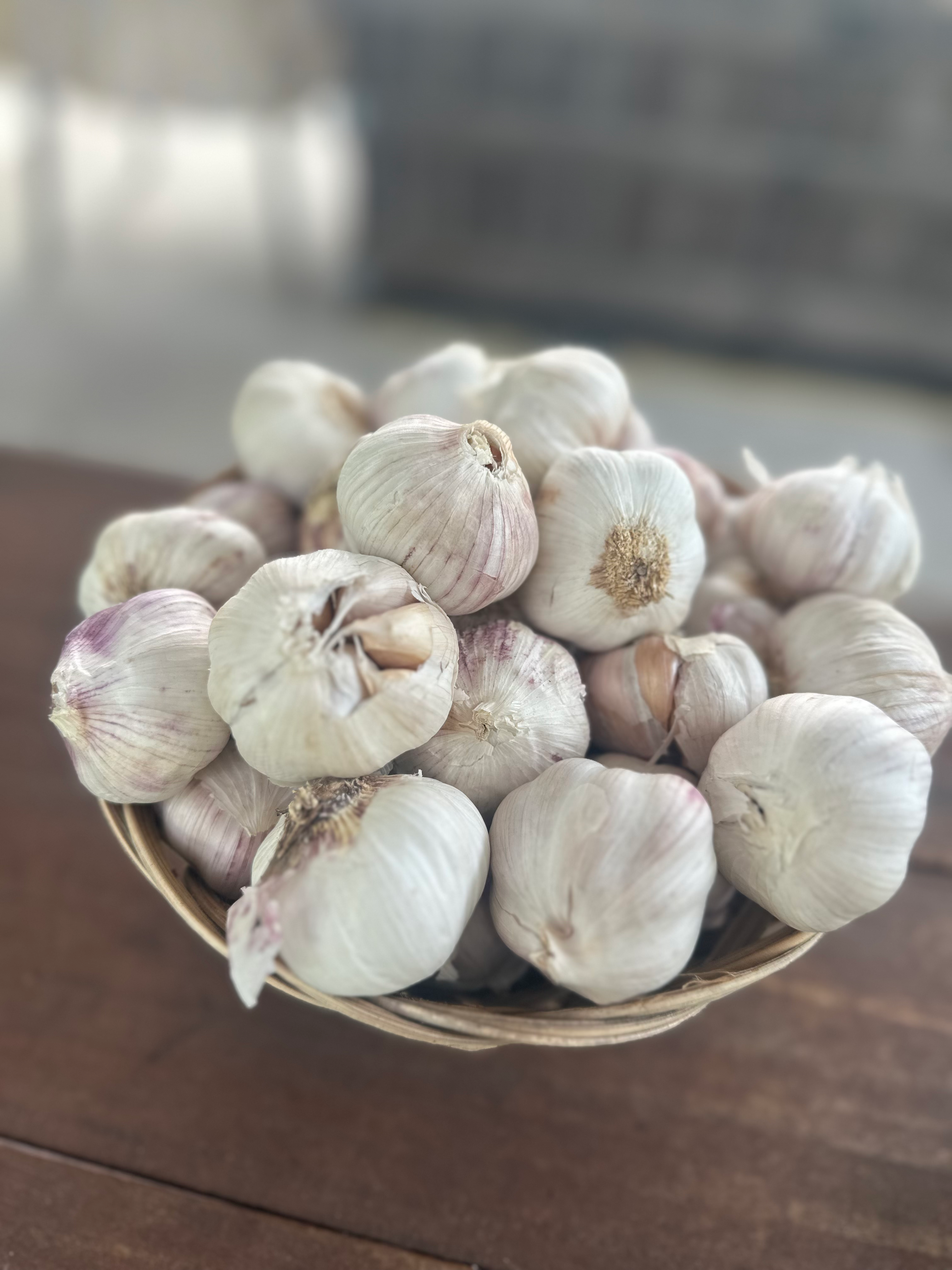 Purple Stripe Garlic Bulb image 0