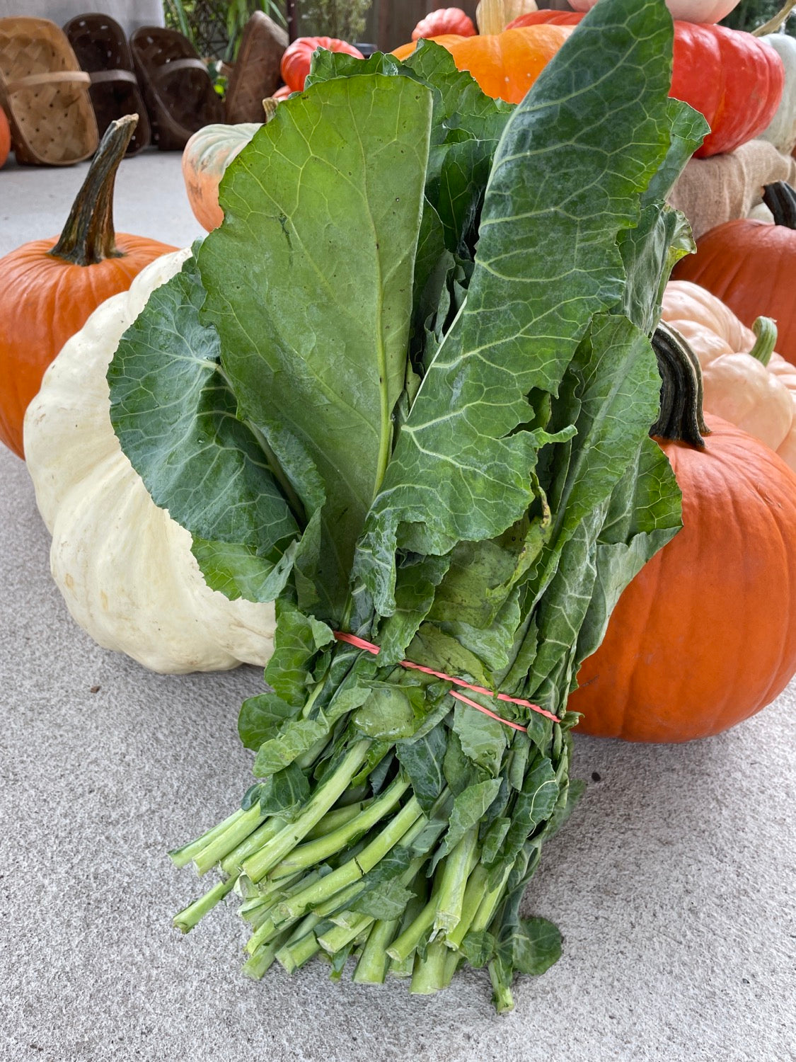 Collard Greens - No delivery  image 0