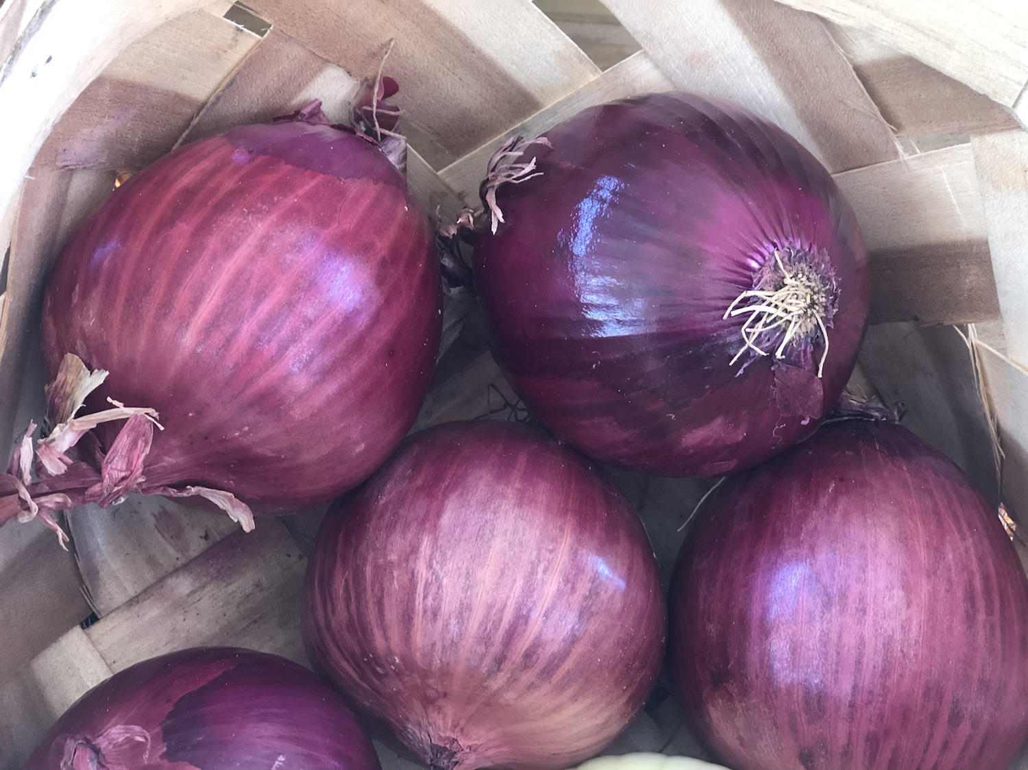 Red Onions - each image 0