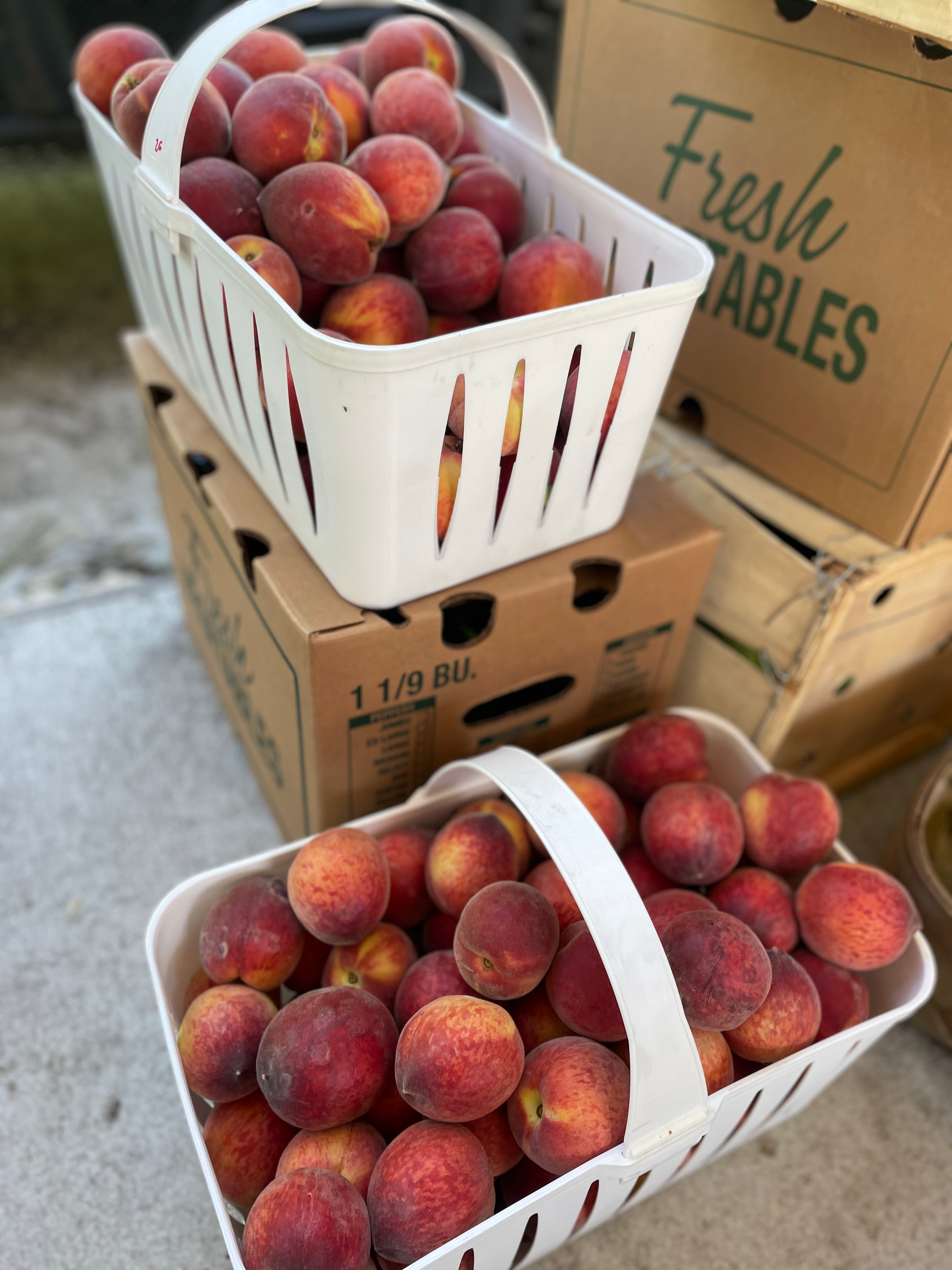 Peaches - NC image 2