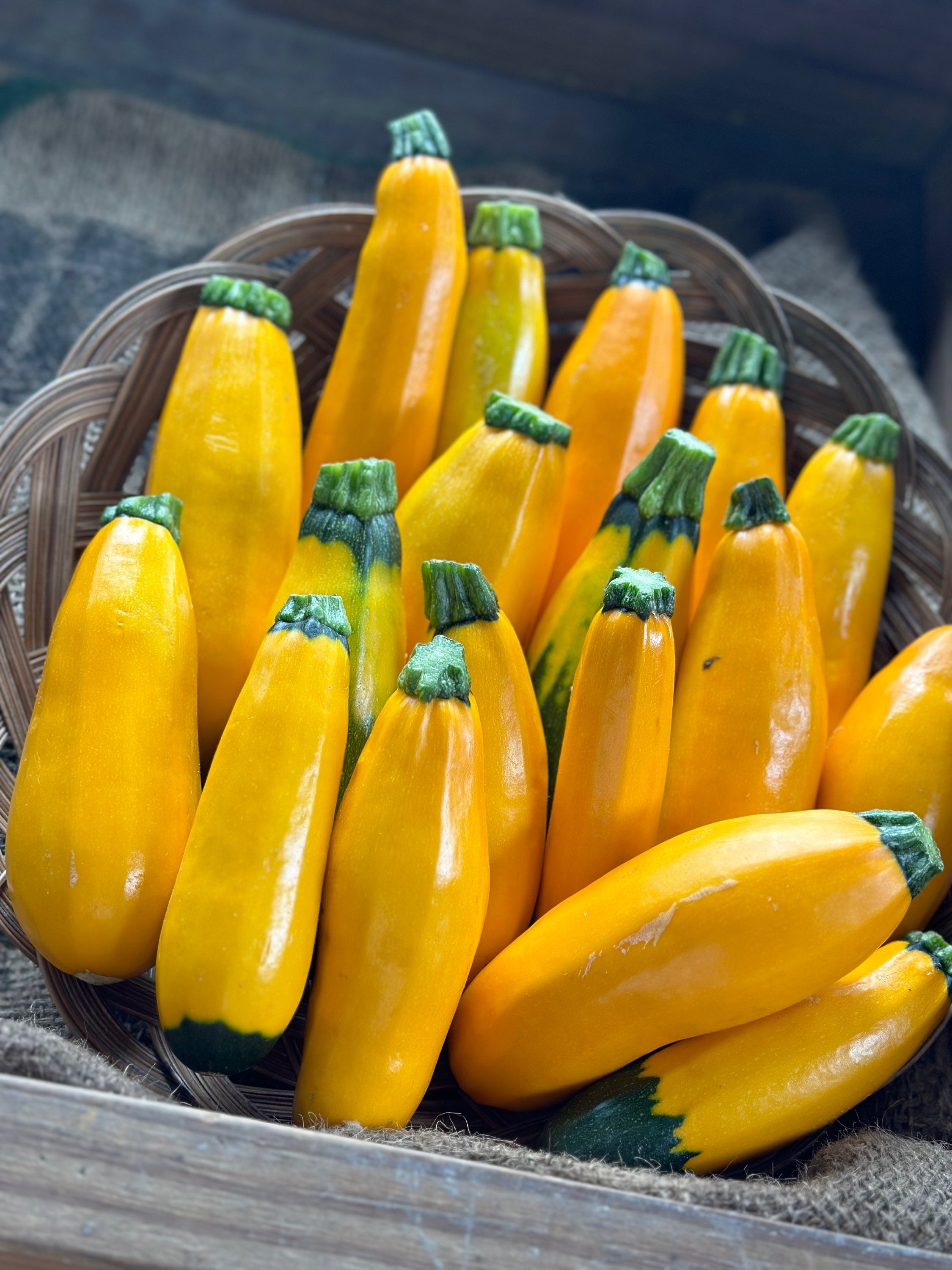 Golden zucchini per pound image 0