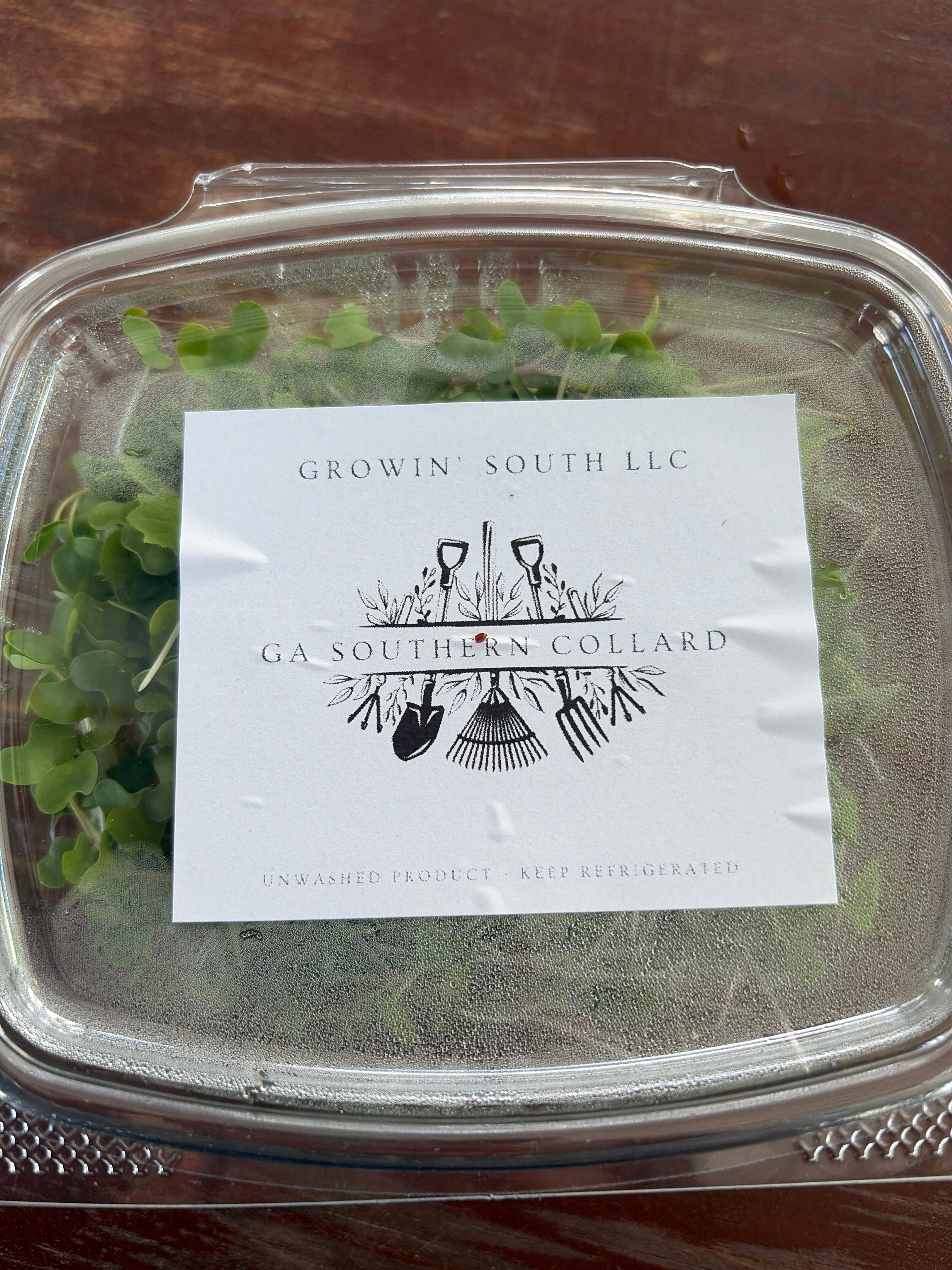 Growin South Microgreens