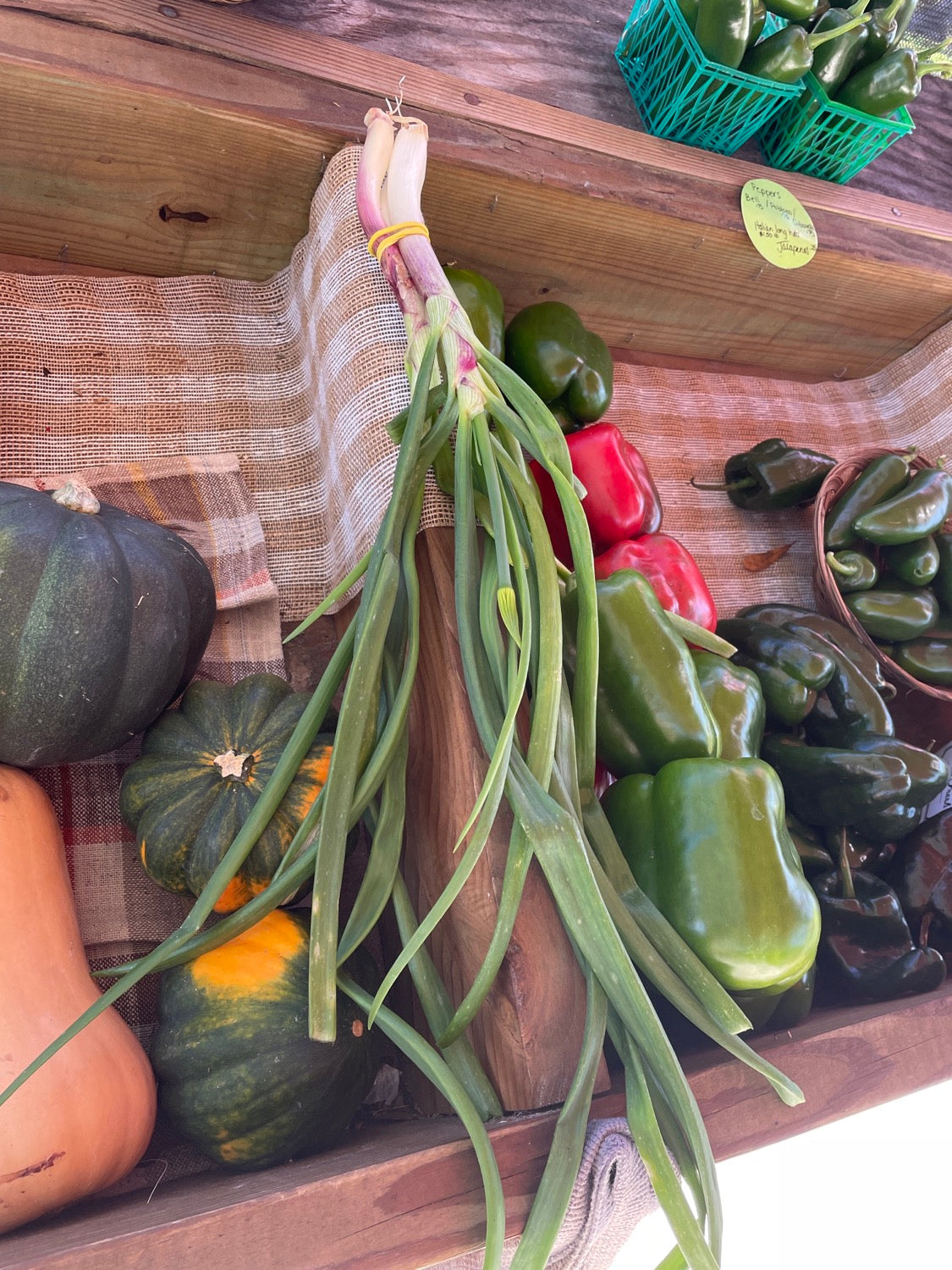 Green onions - Scallions image 0