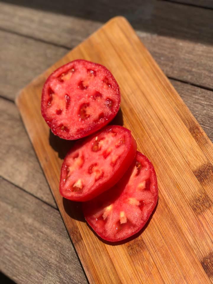 Red Tomatoes each image 1
