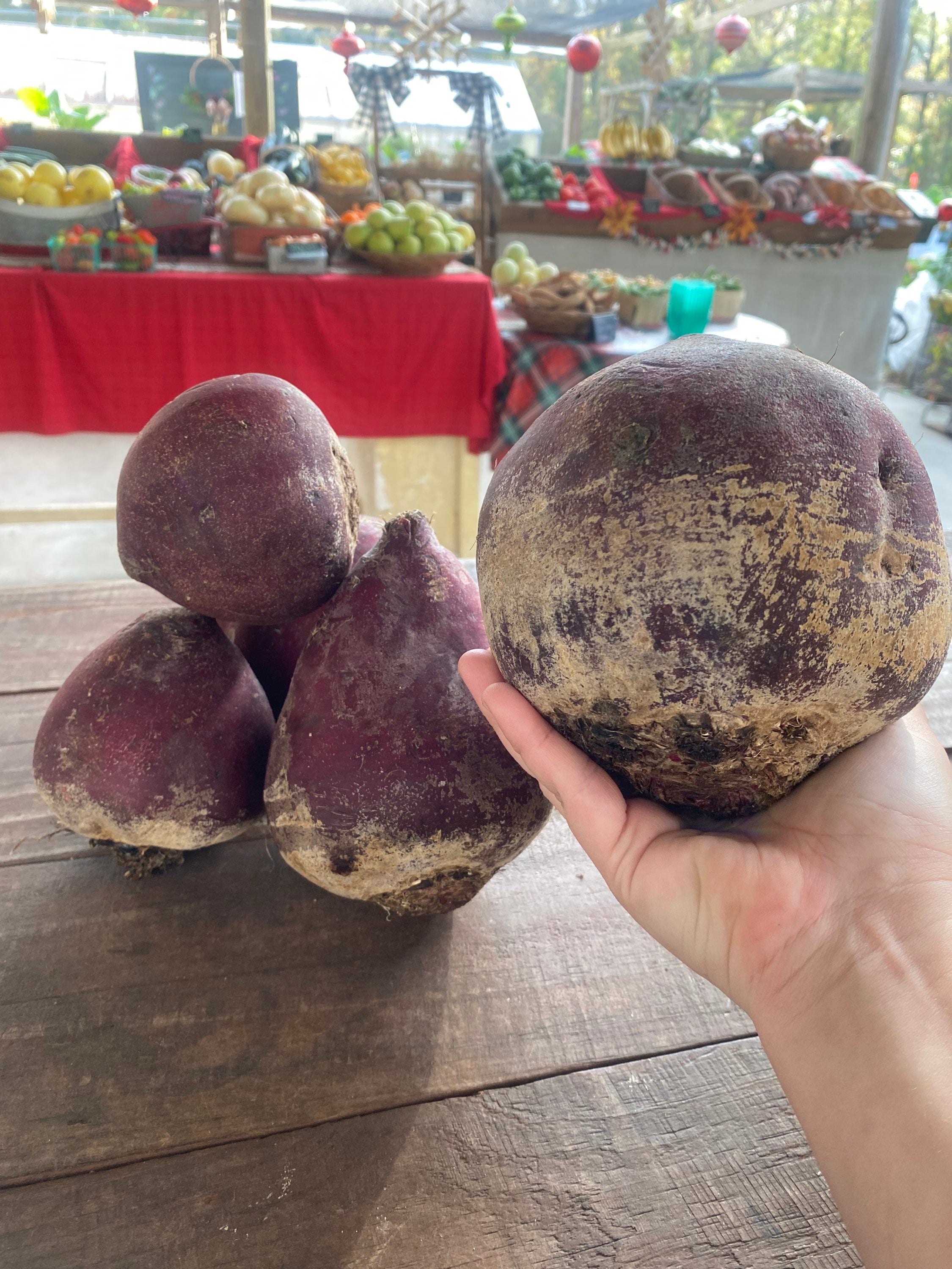 Red Beets- 1# image 0