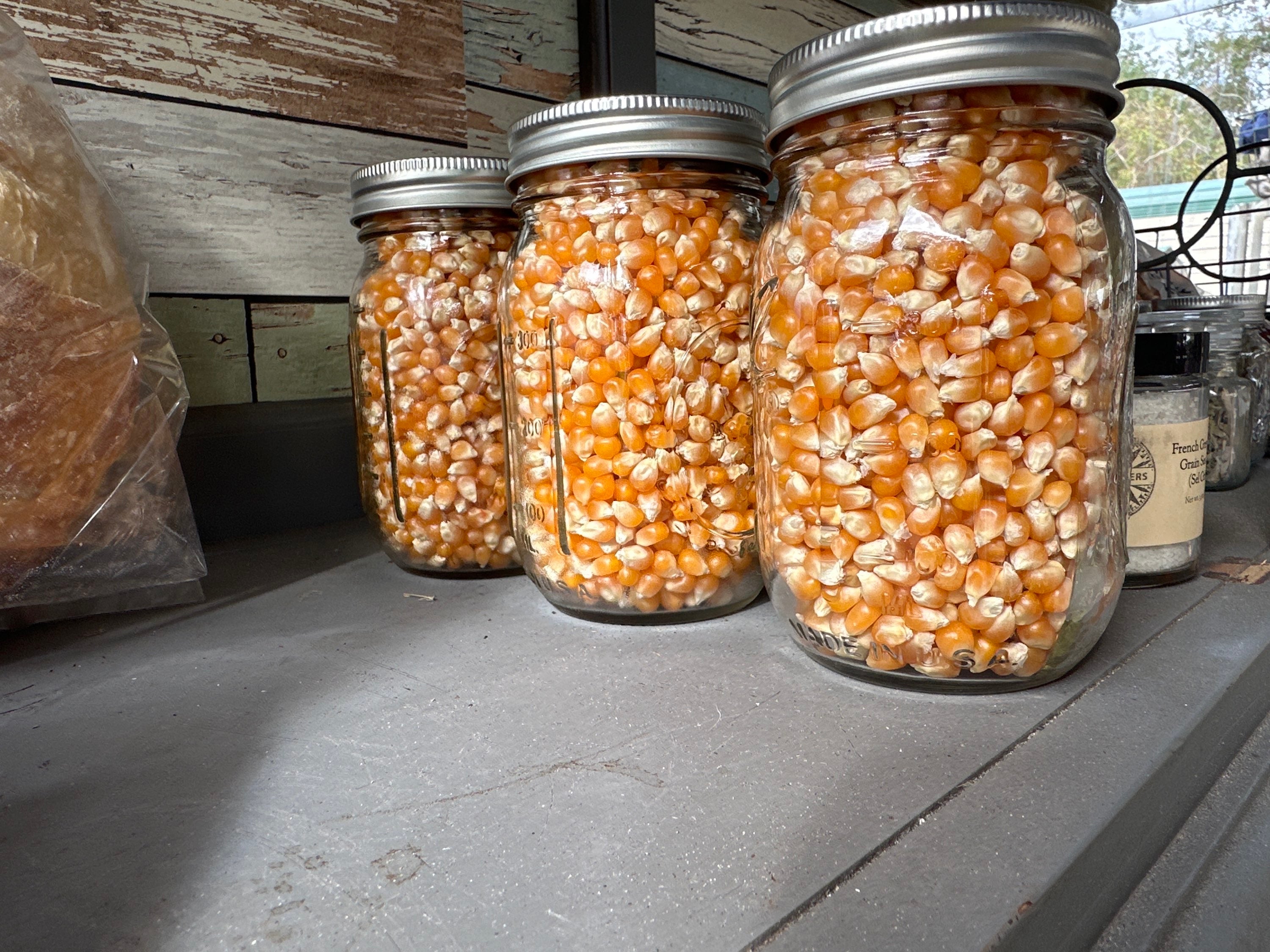 Fresh Popcorn Kernels  image 0