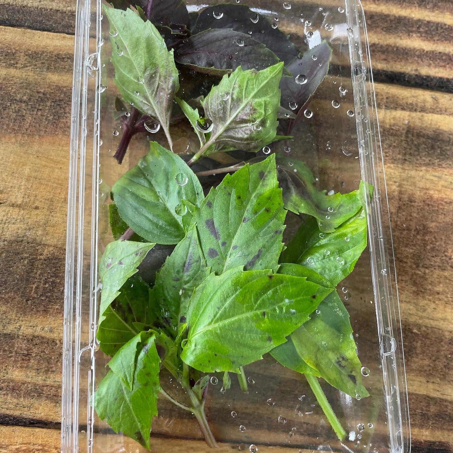 Fresh Cut Herbs image 0