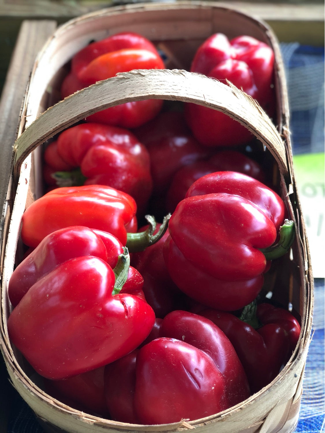 Red bell pepper image 0