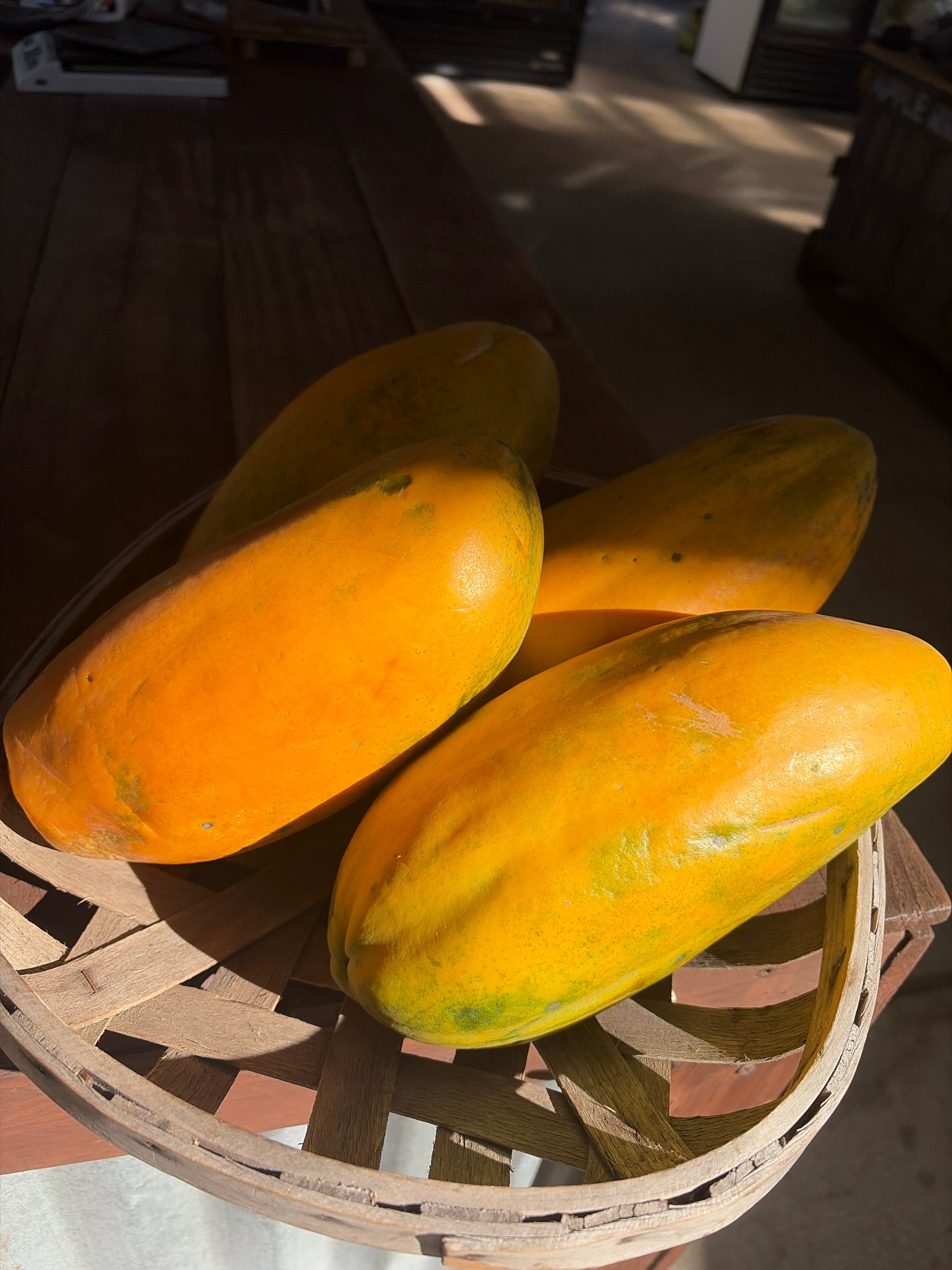 Papaya