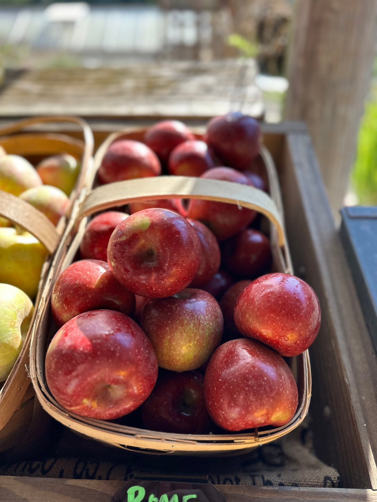 Rome Apples image 0