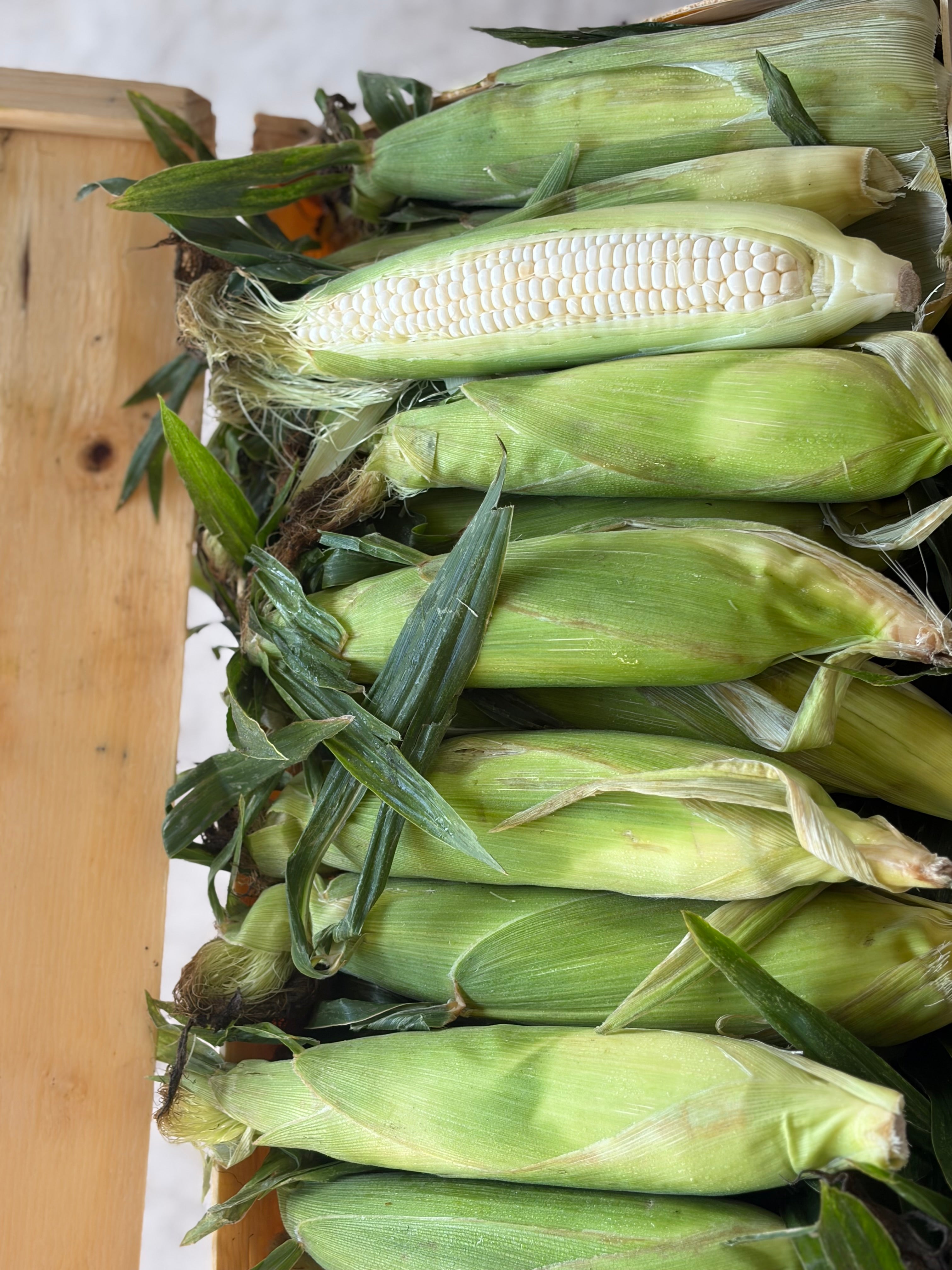 Sweet White Corn-