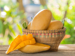 Champagne Mango image 0