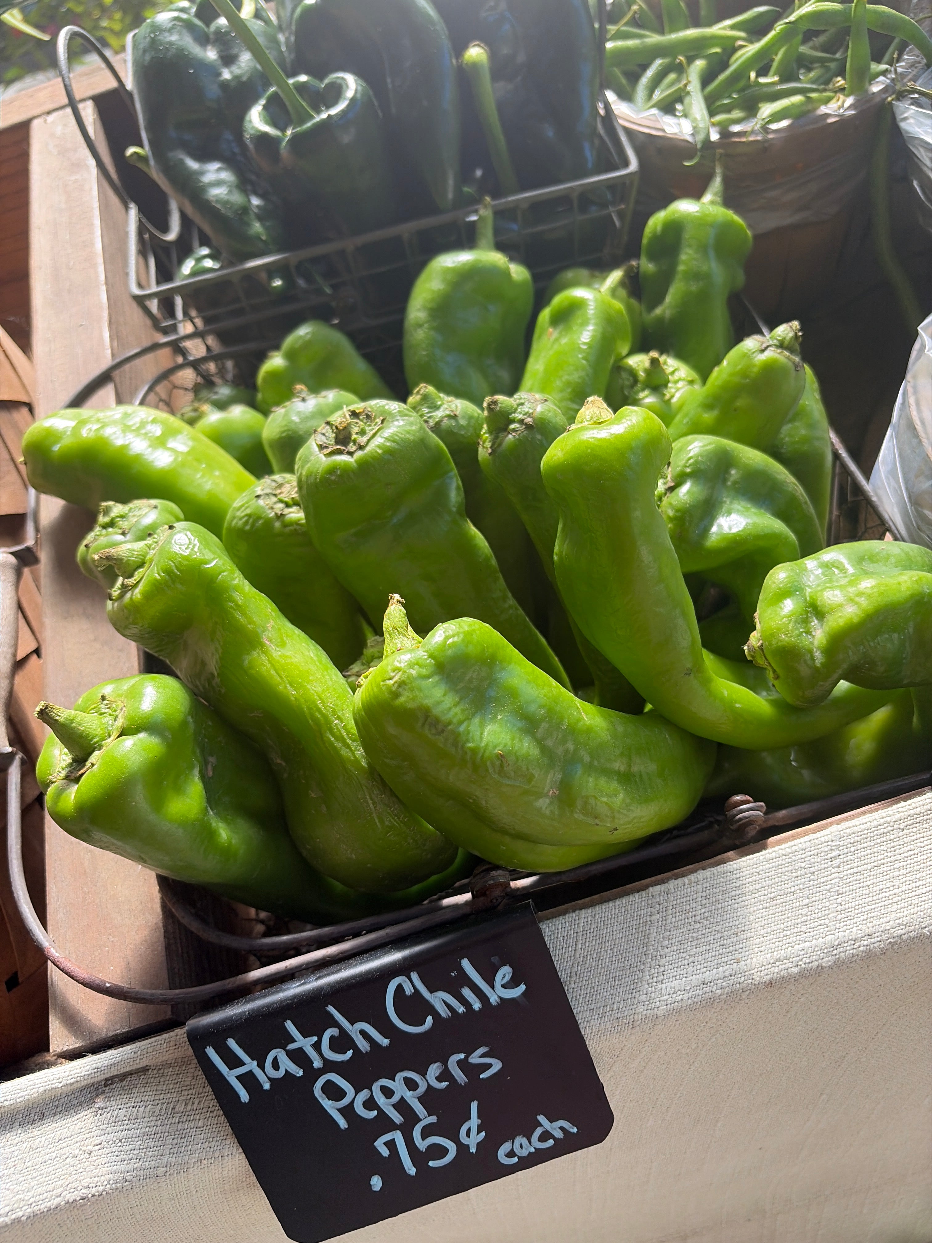 Hatch chile Peppers