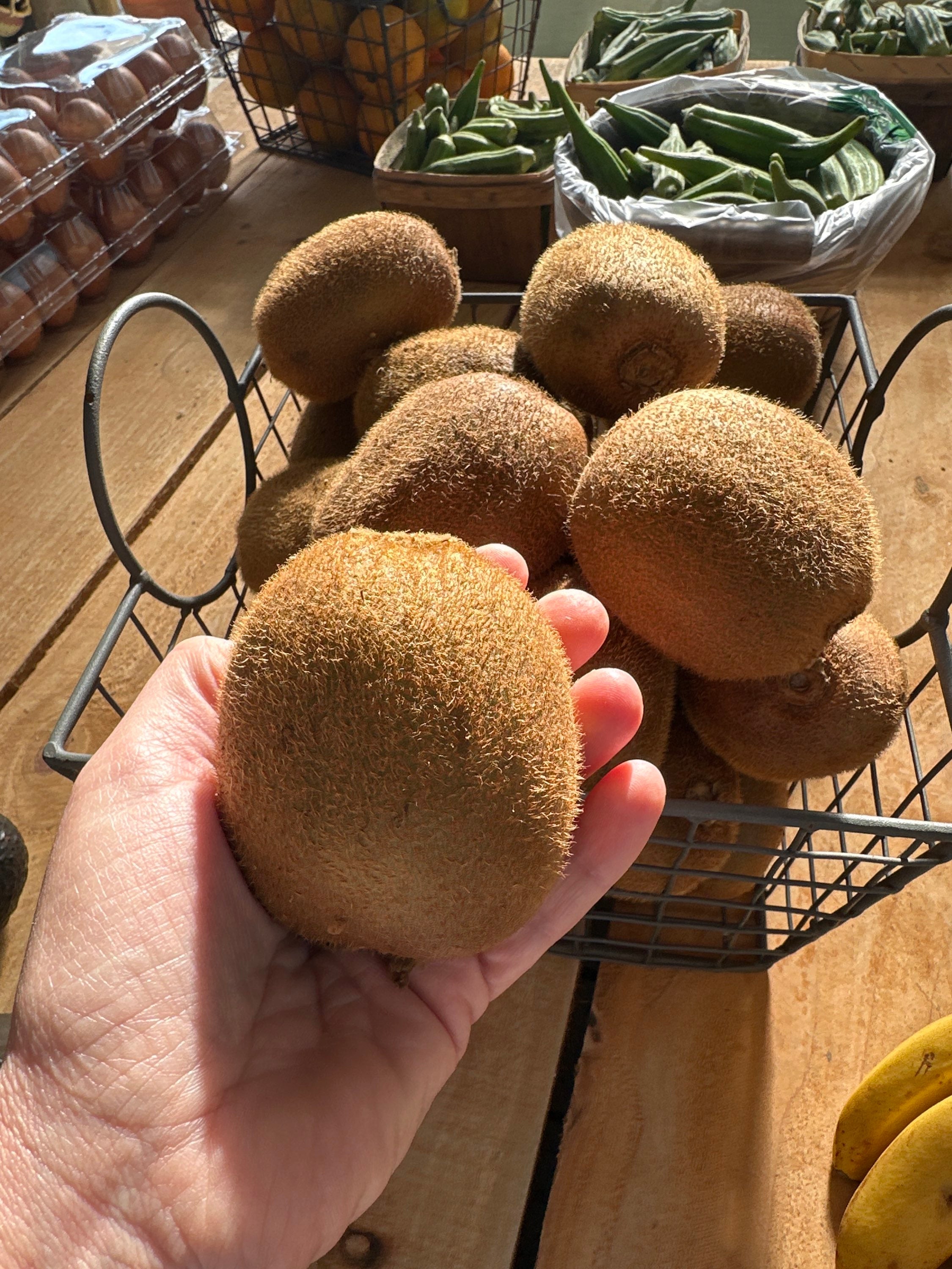 Kiwi image 2