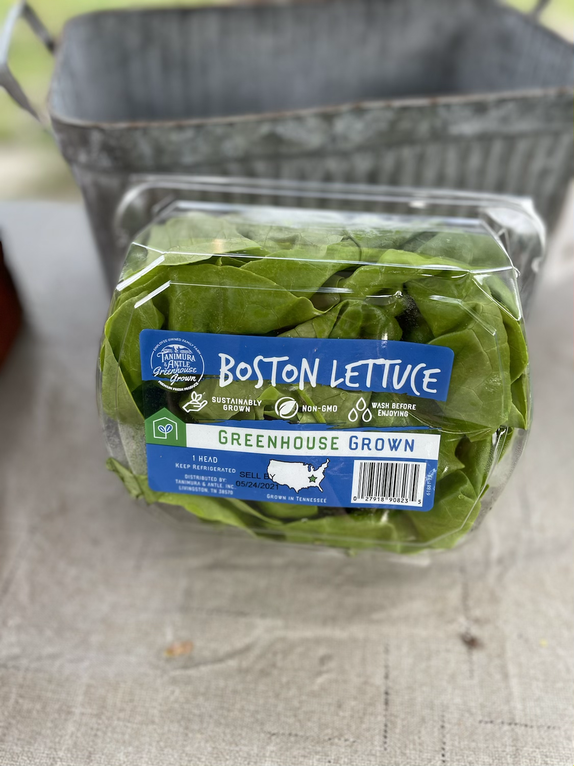 Butter Lettuce  image 1