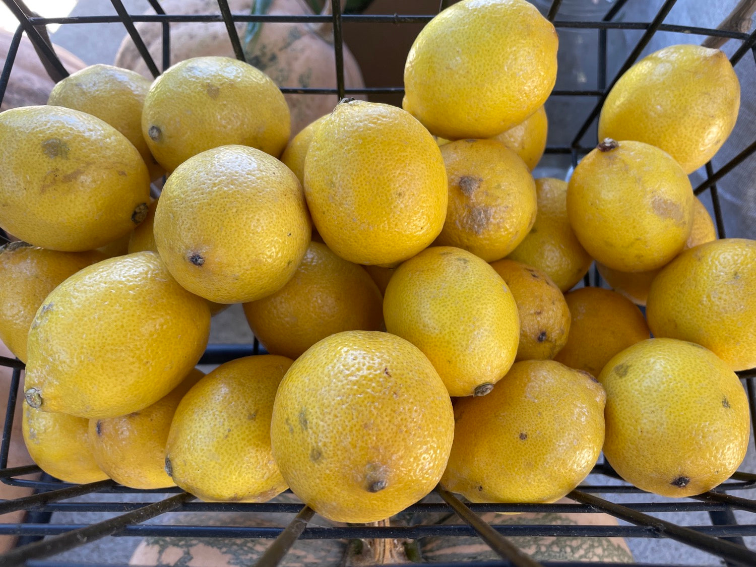 Lemons image 0