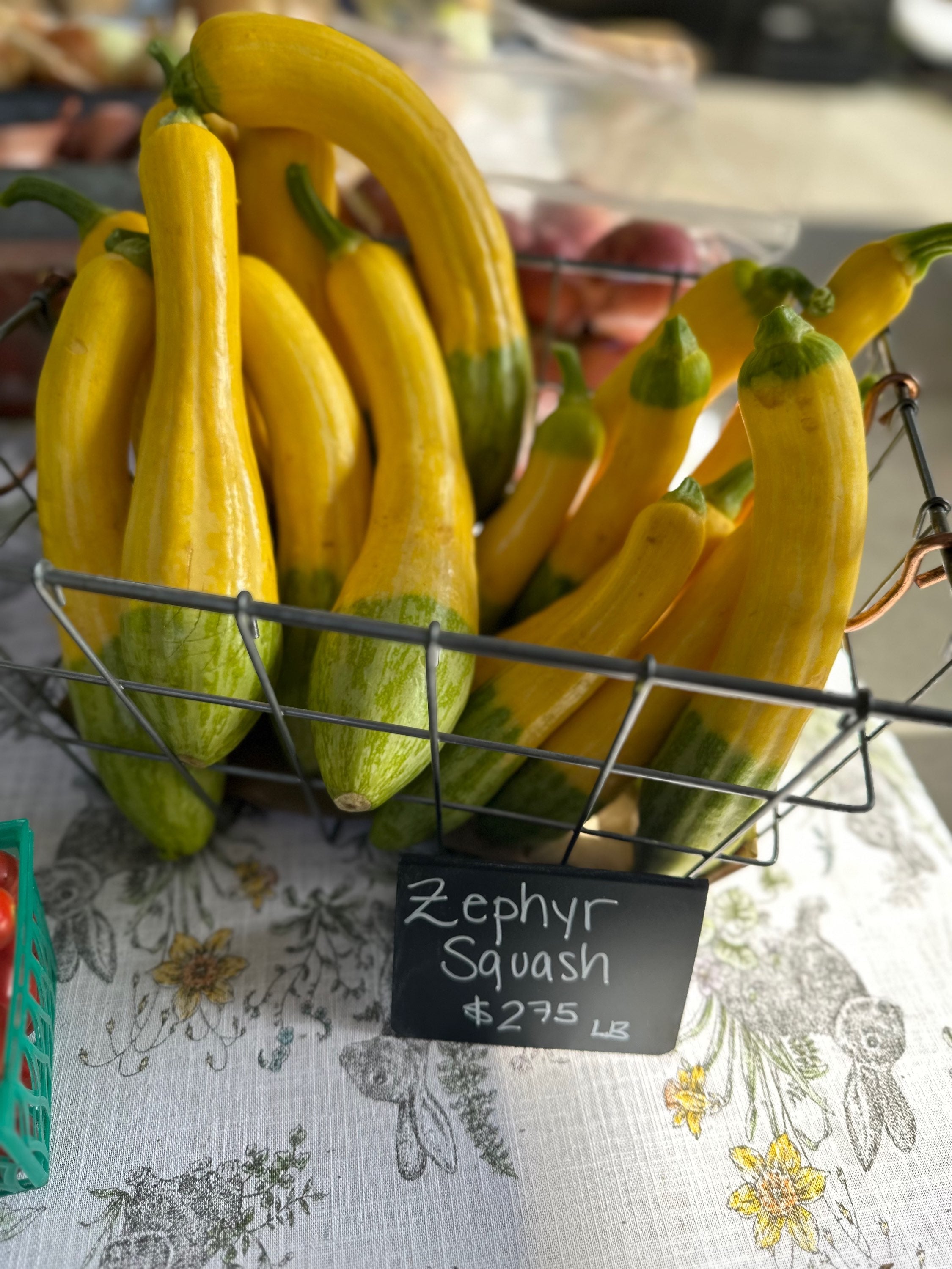 Zephyr Squash per pound  image 0