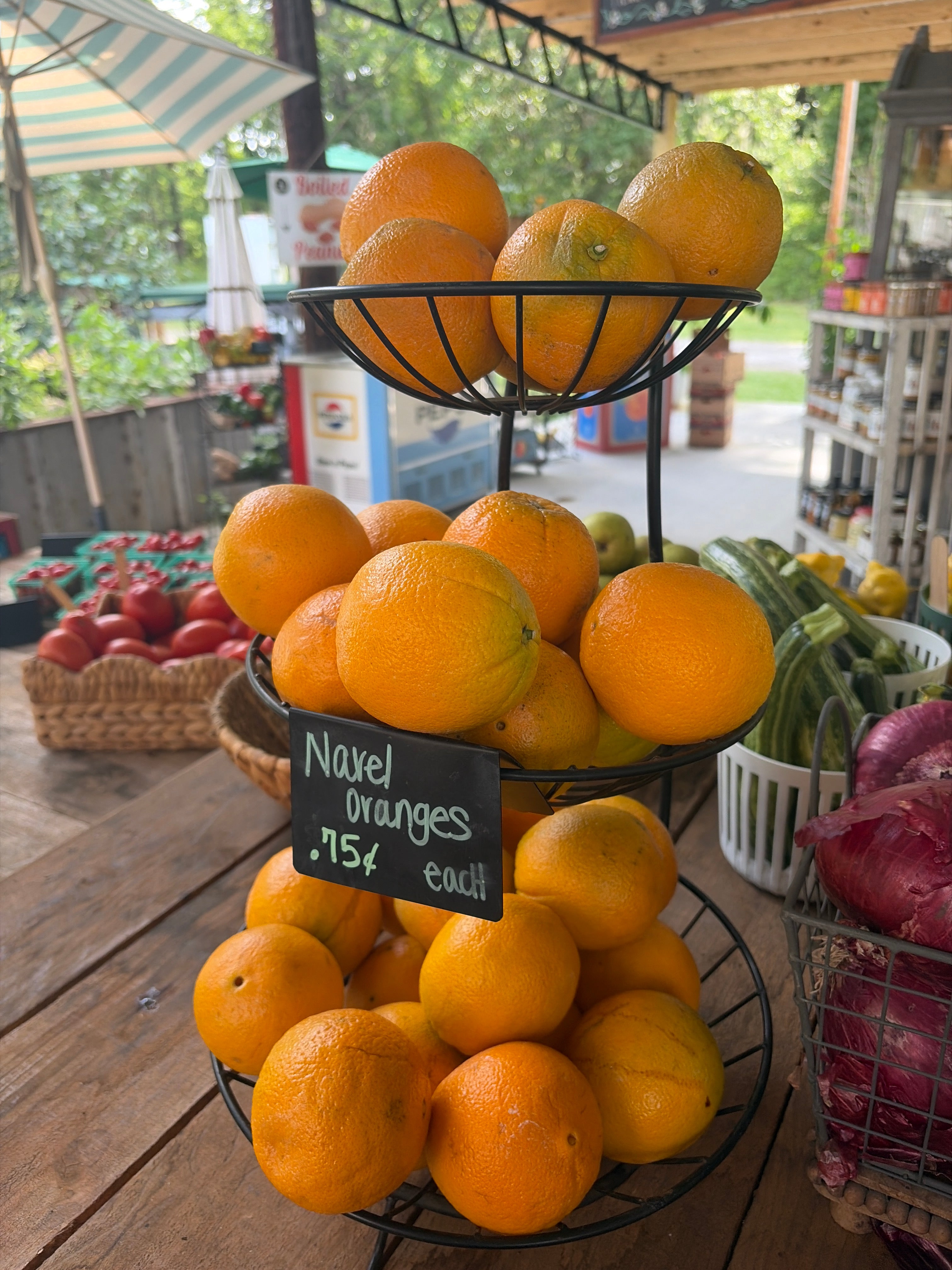 Navel Oranges