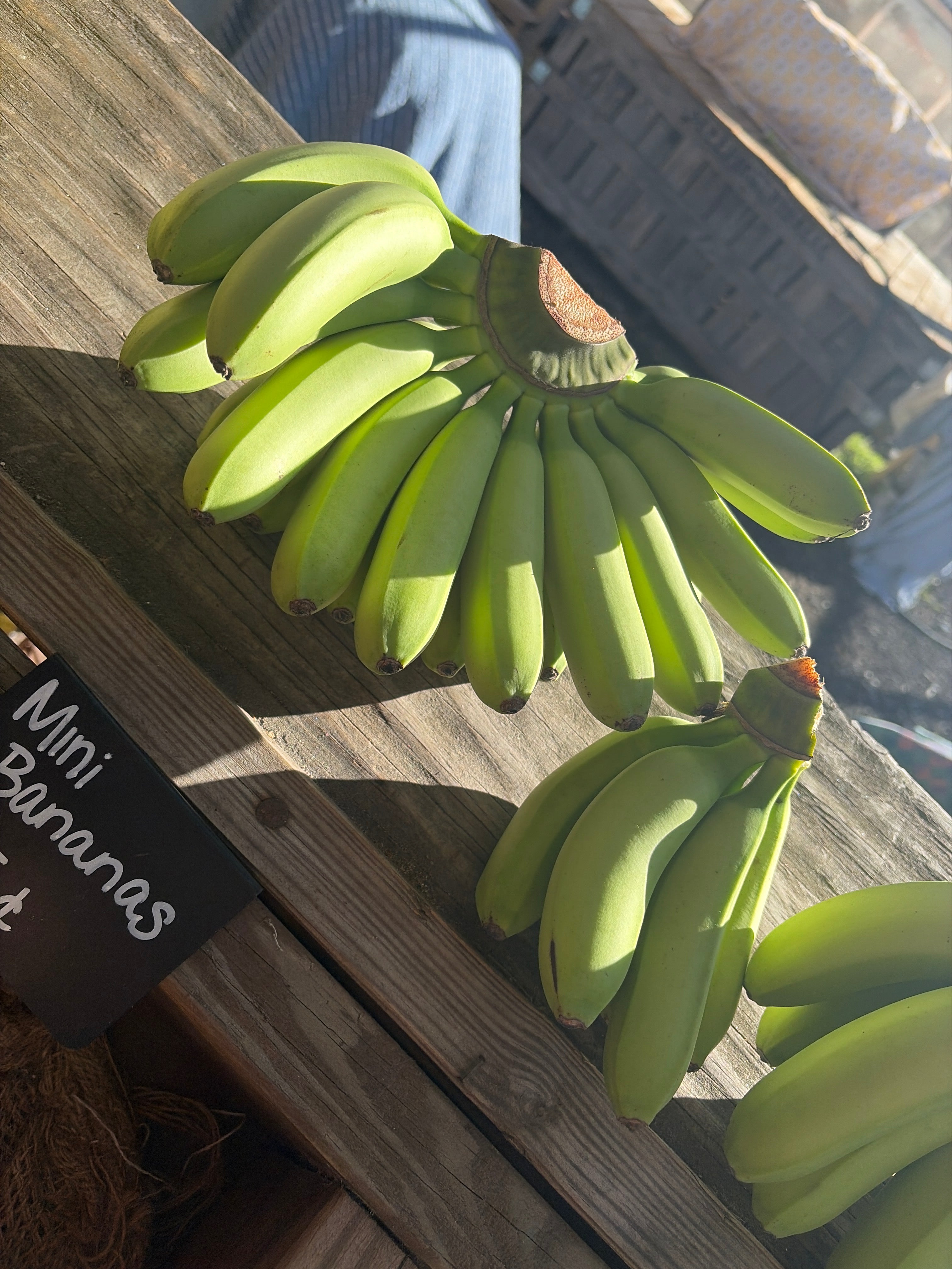 Baby bananas - each
