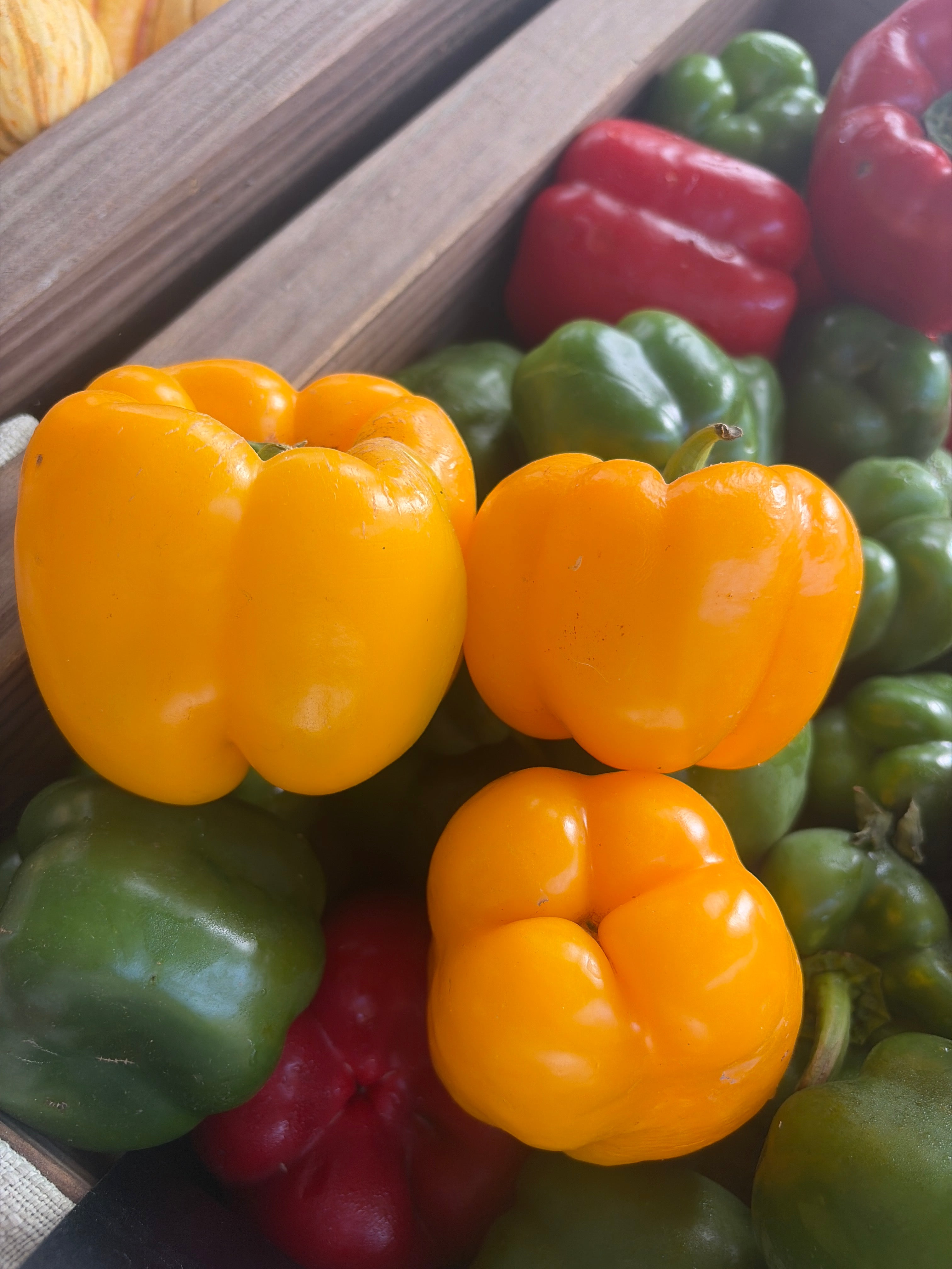 Sweet Yellow Bell Peppers