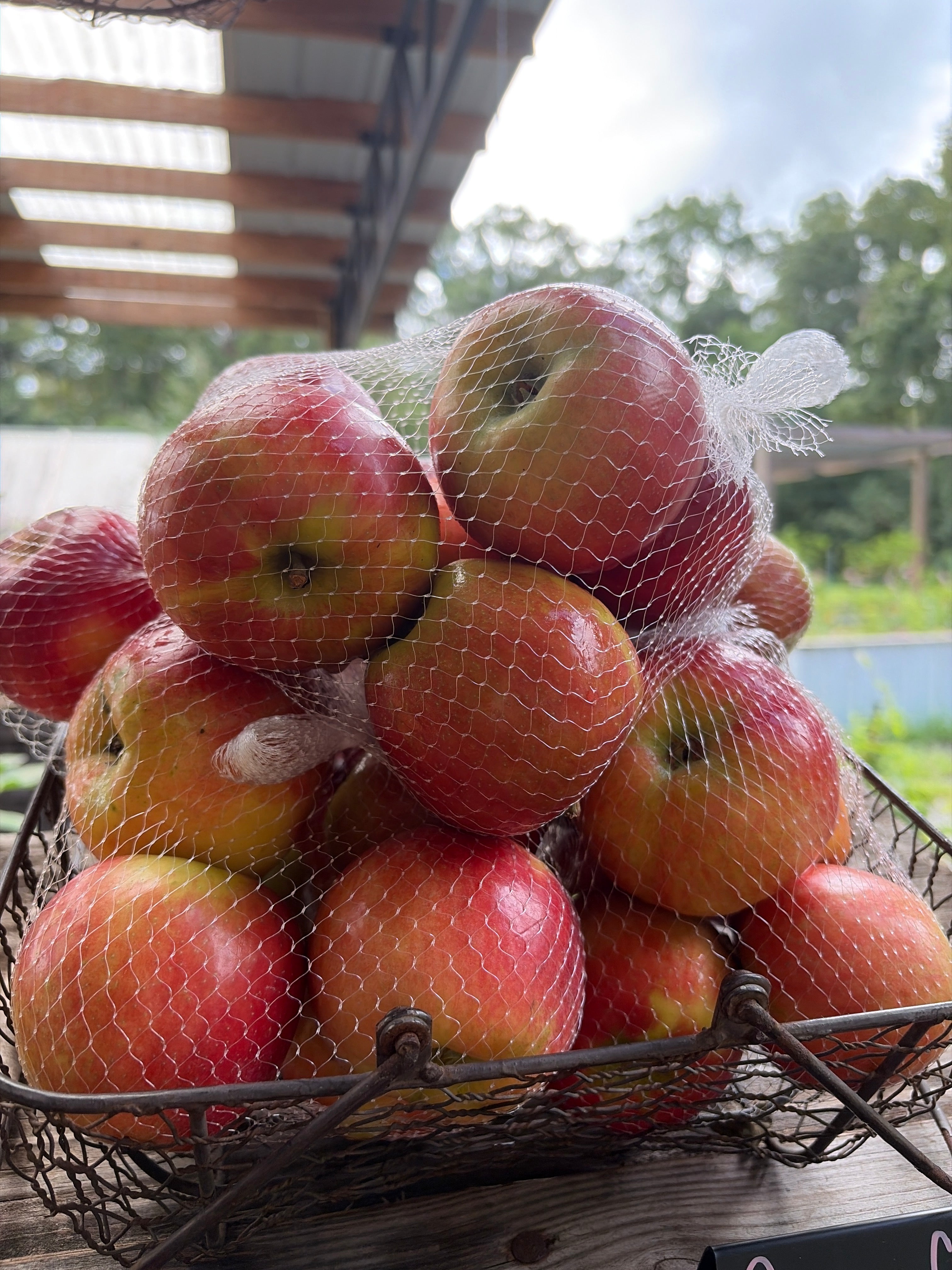 Crimson Crisp Apples Bag