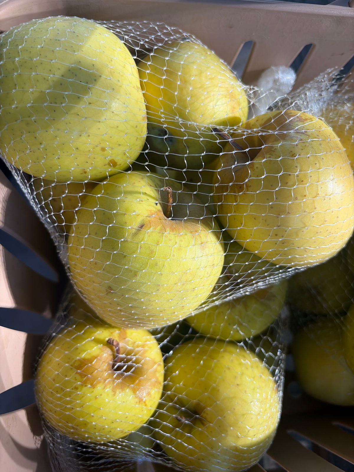 Golden delicious Apple bag 2#