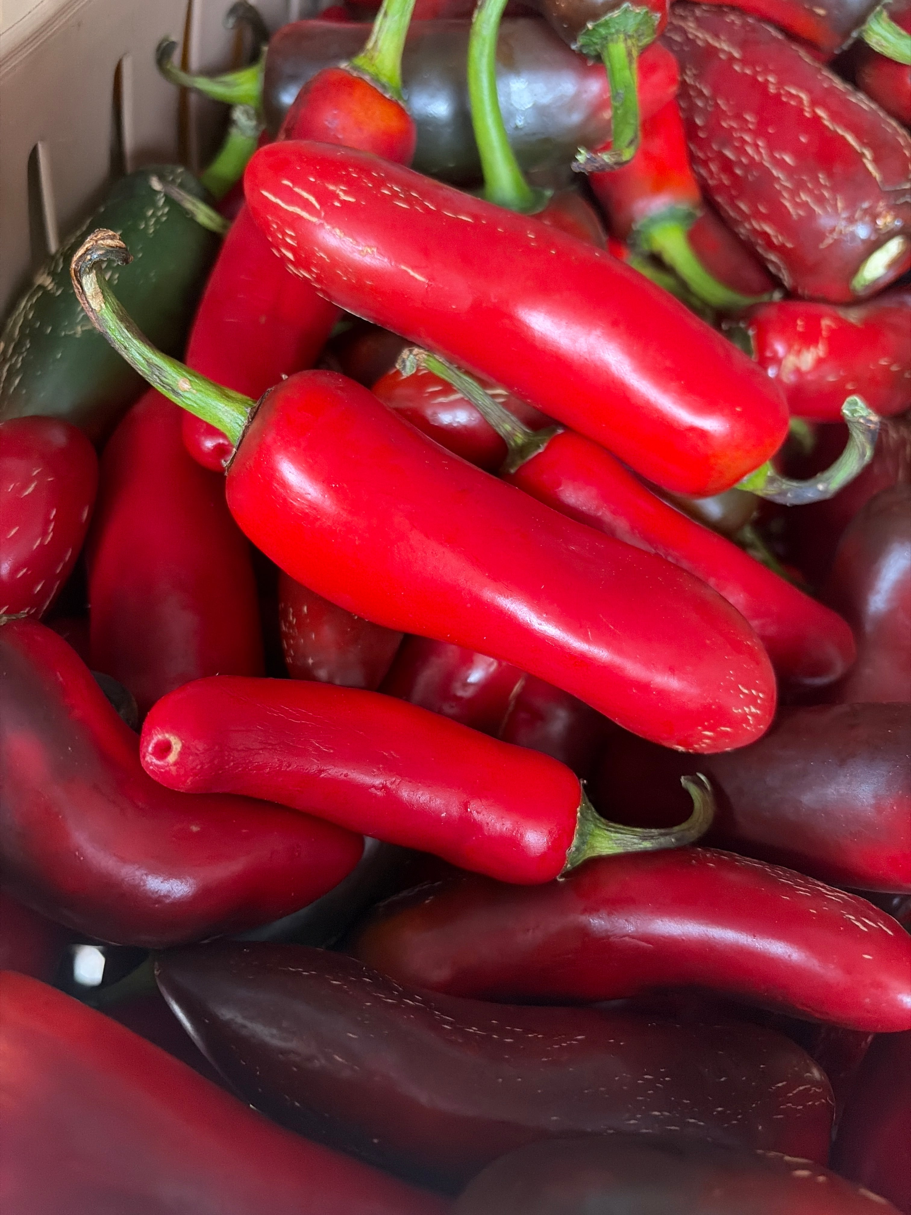 Red jalapeños