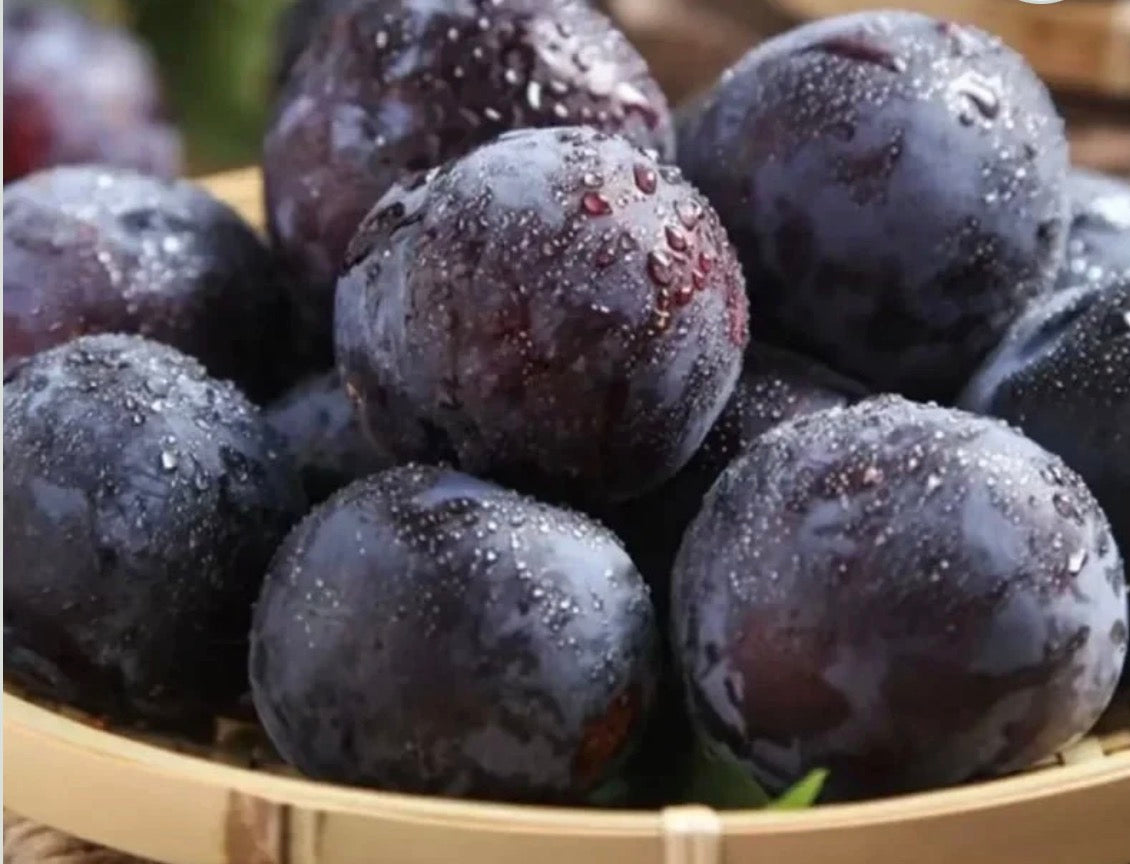 Black plums-per pound