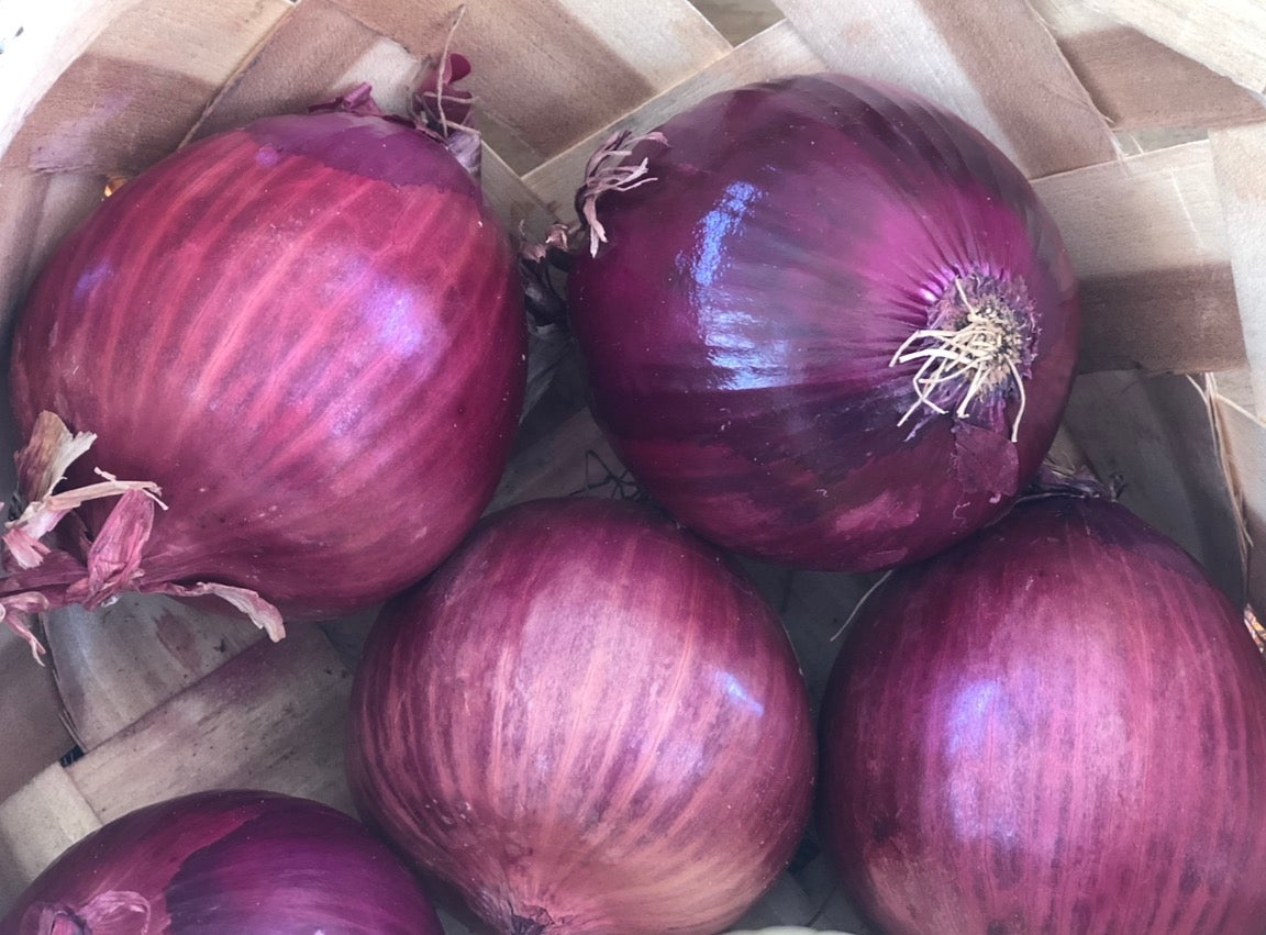Red onion