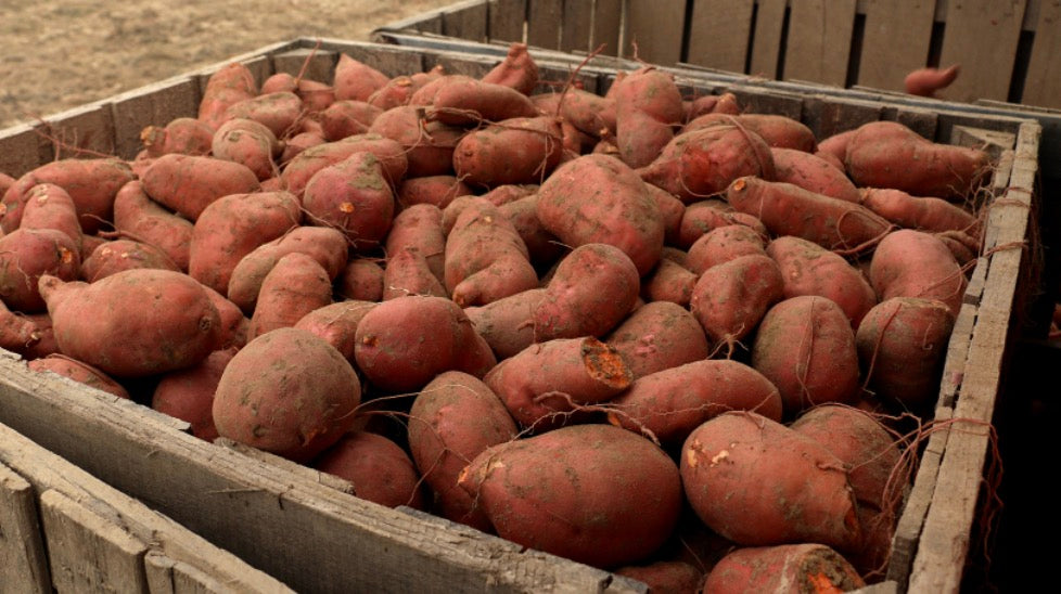 Sweet potatoes- pound
