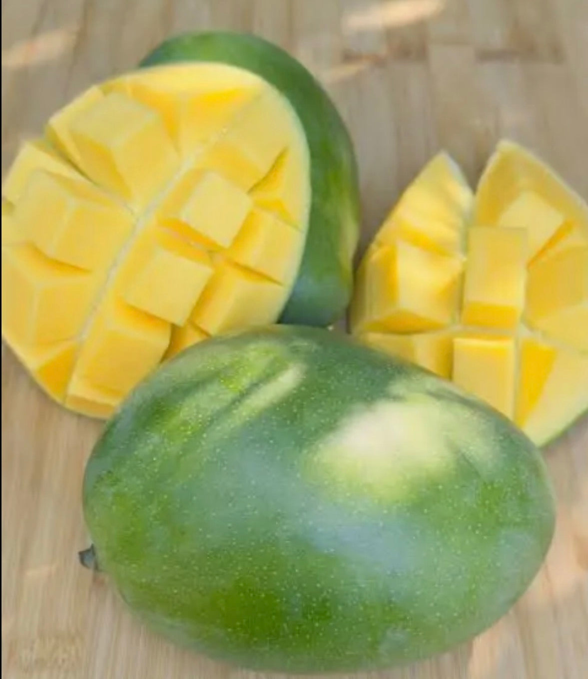 Keitt Mango- South FL
