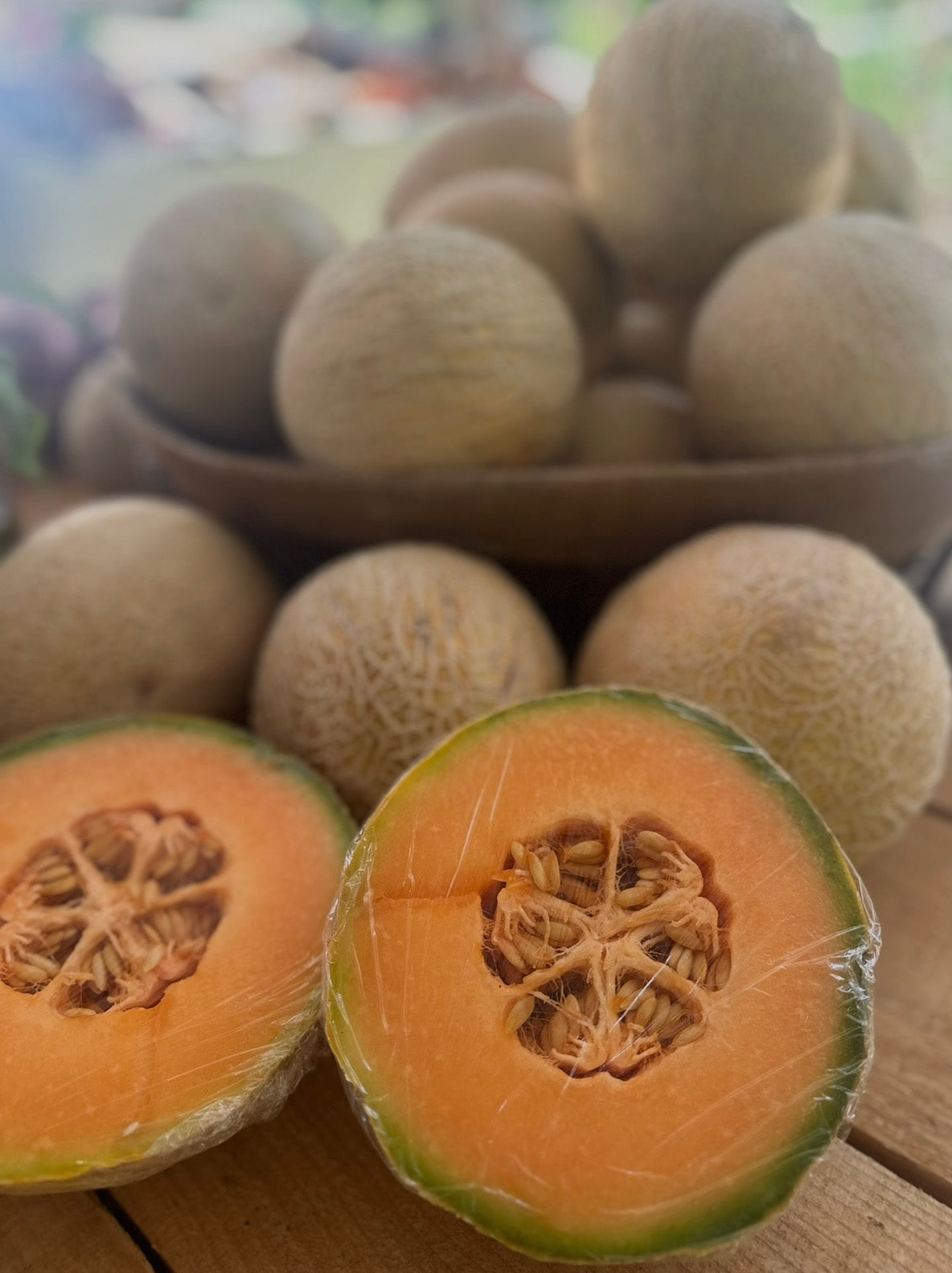 Small Cantaloupe
