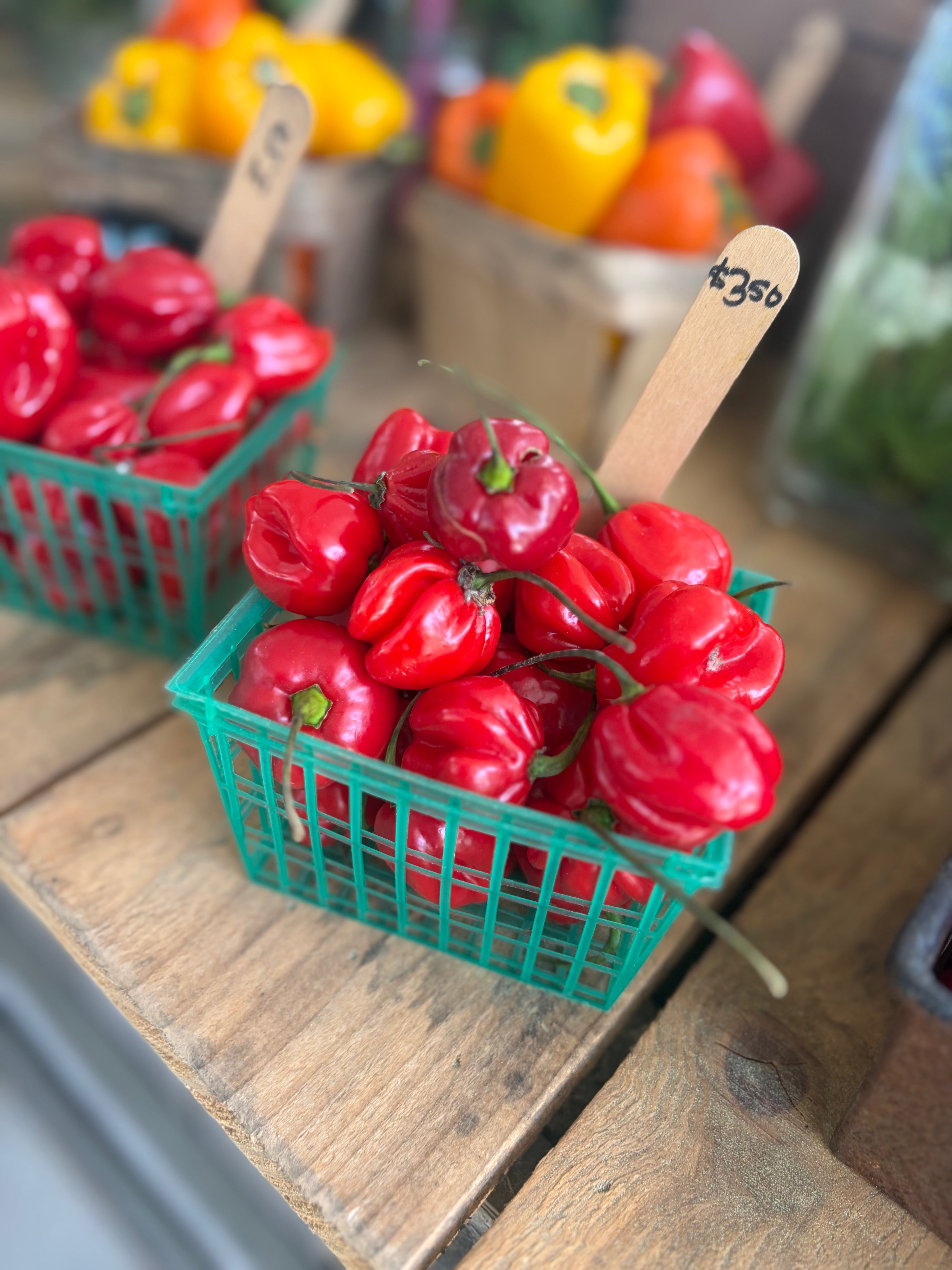 Red Habanero Peppers- pint