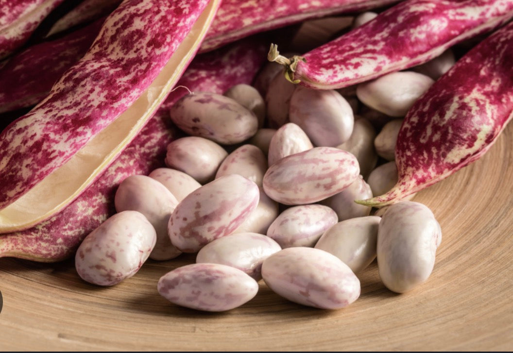 Cranberry beans 1#