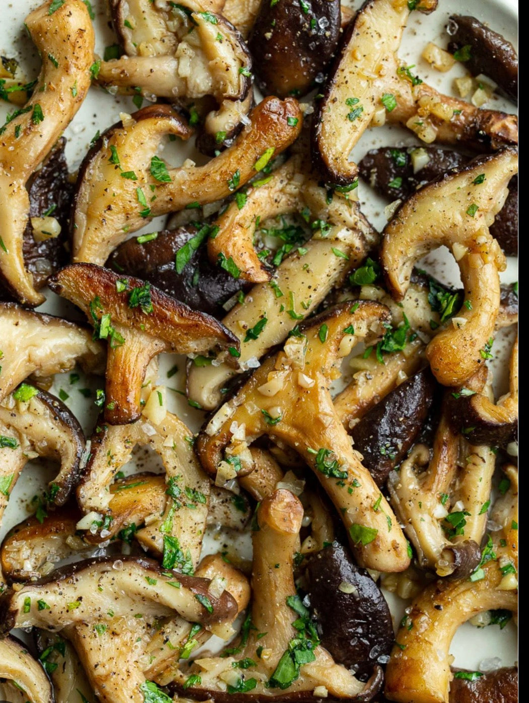 Shiitake mushrooms- clamshell 10oz