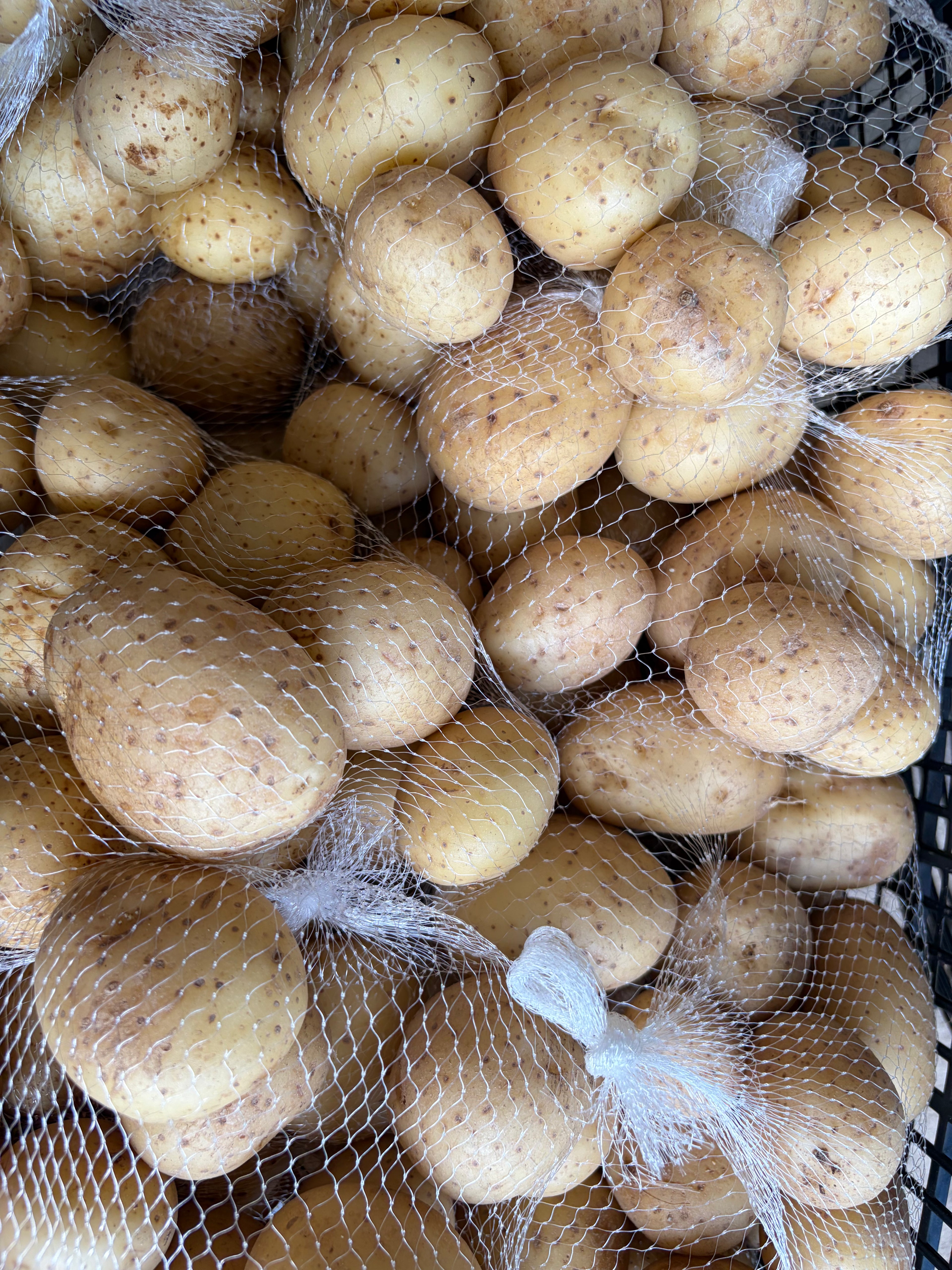 White creamer potatoes 2LB