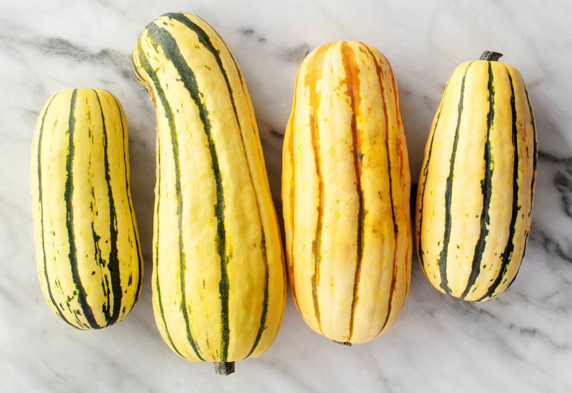 Delicata Squash - each  image 0