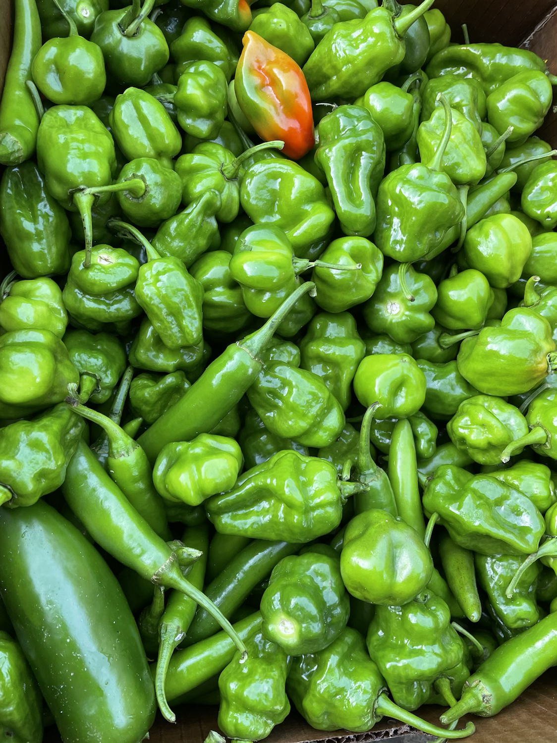 HOT pepper mix image 0