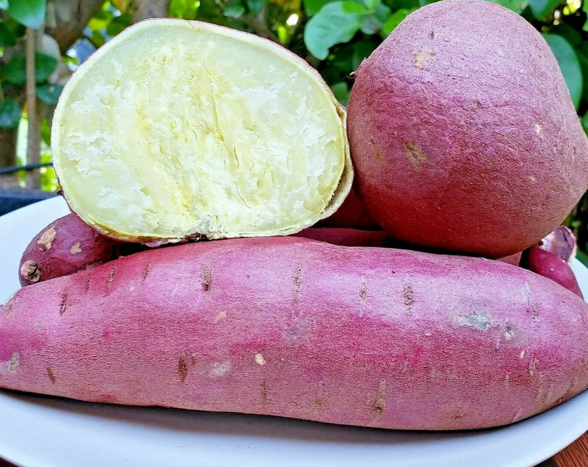 Murasaki Sweet potato per pound image 0