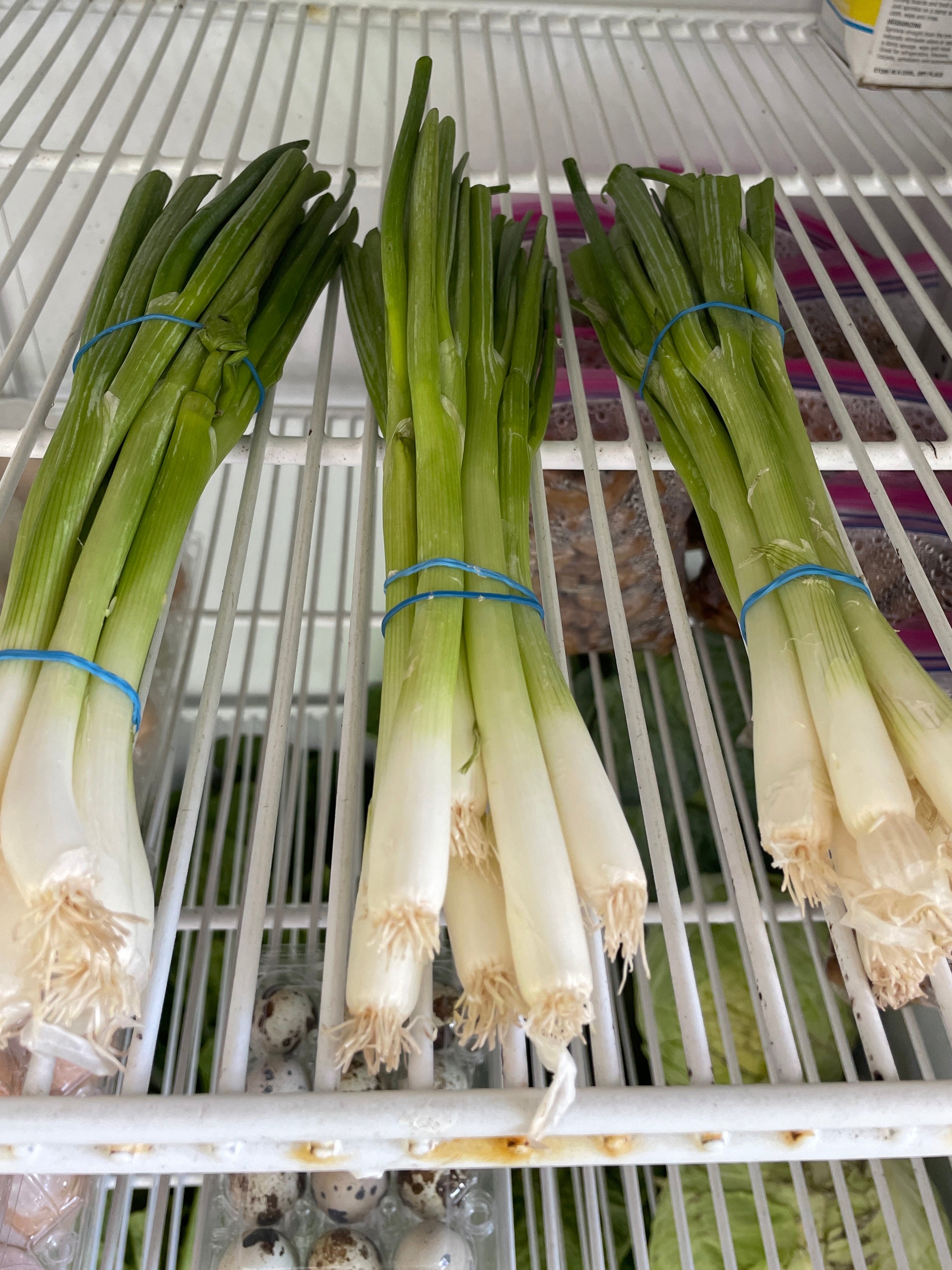 Green onion (Scallions) image 0