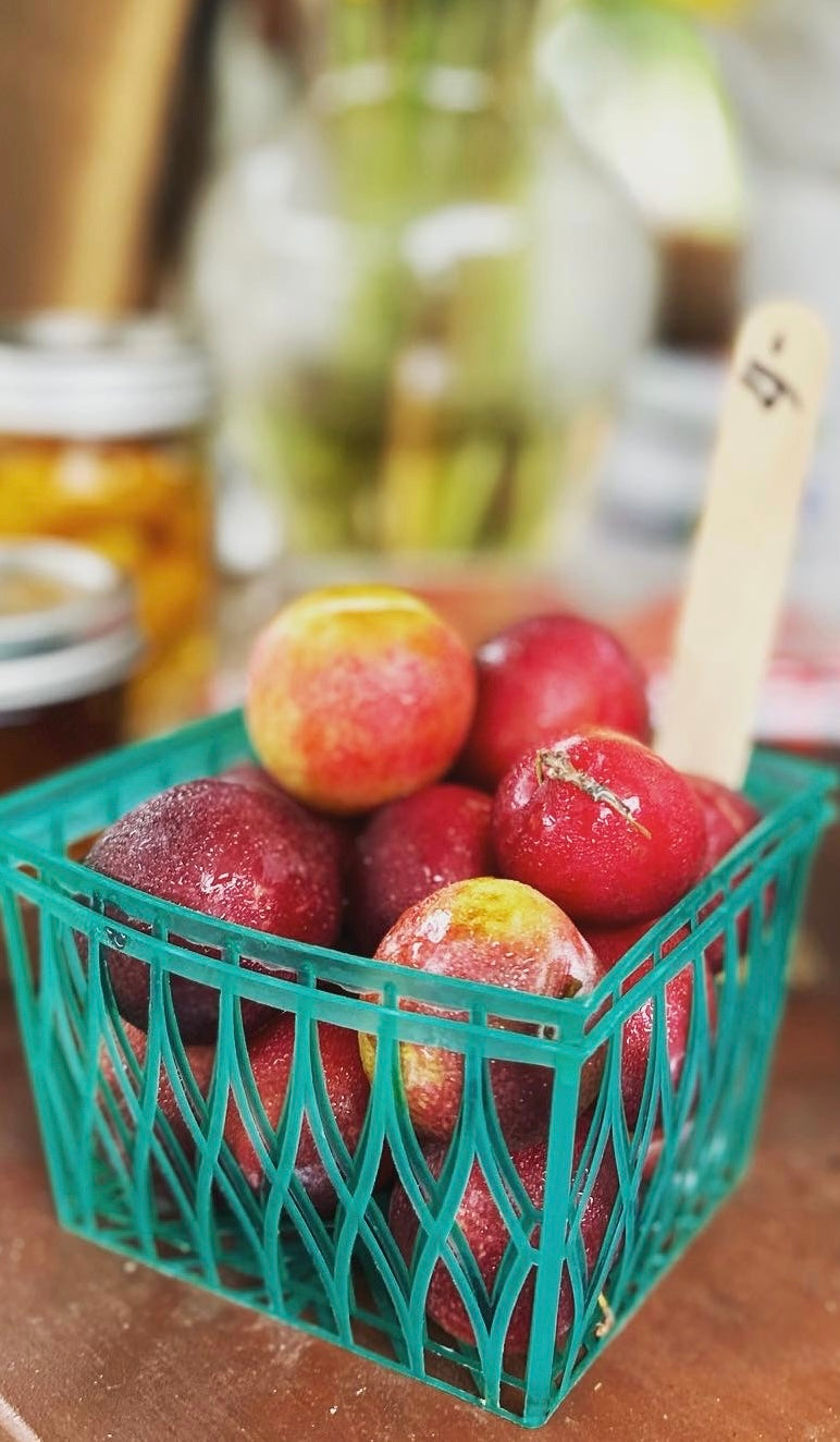 Cherry Plums per pint image 0